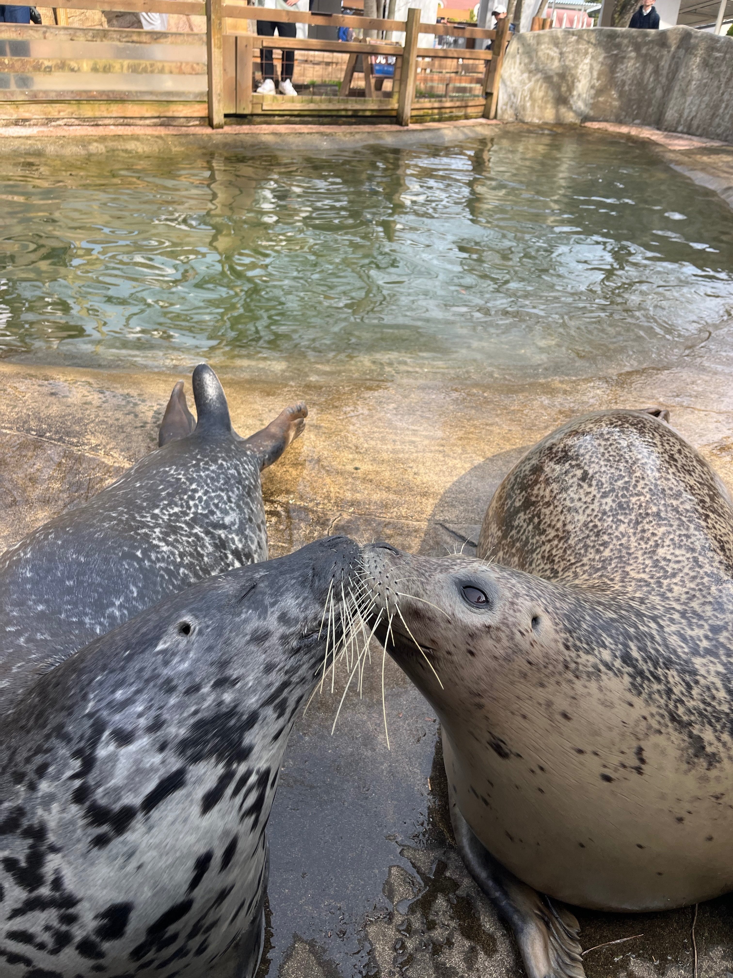 水辺の新入り、みなと君！｜那須どうぶつ王国公式note