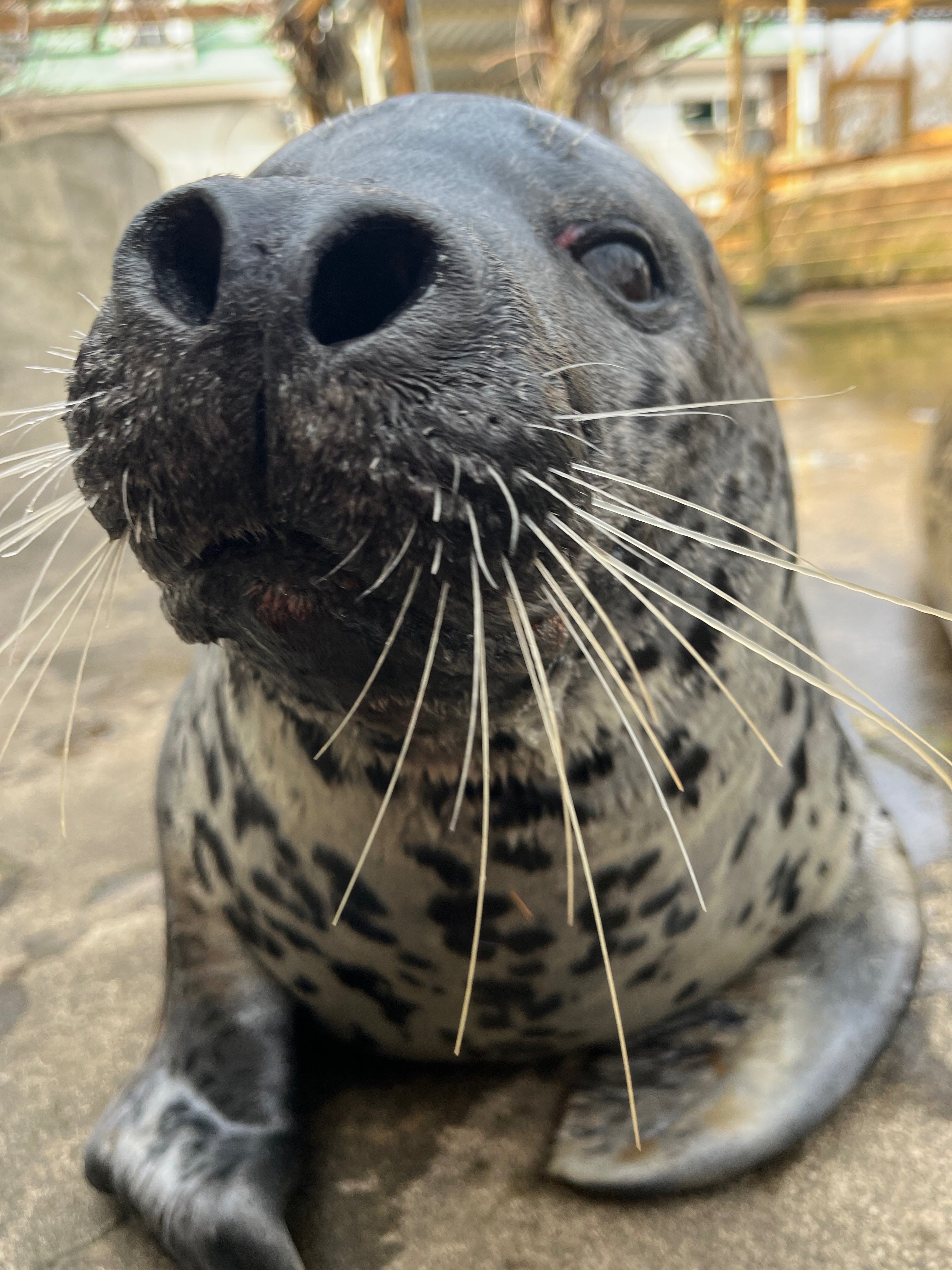 水辺の新入り、みなと君！｜那須どうぶつ王国公式note