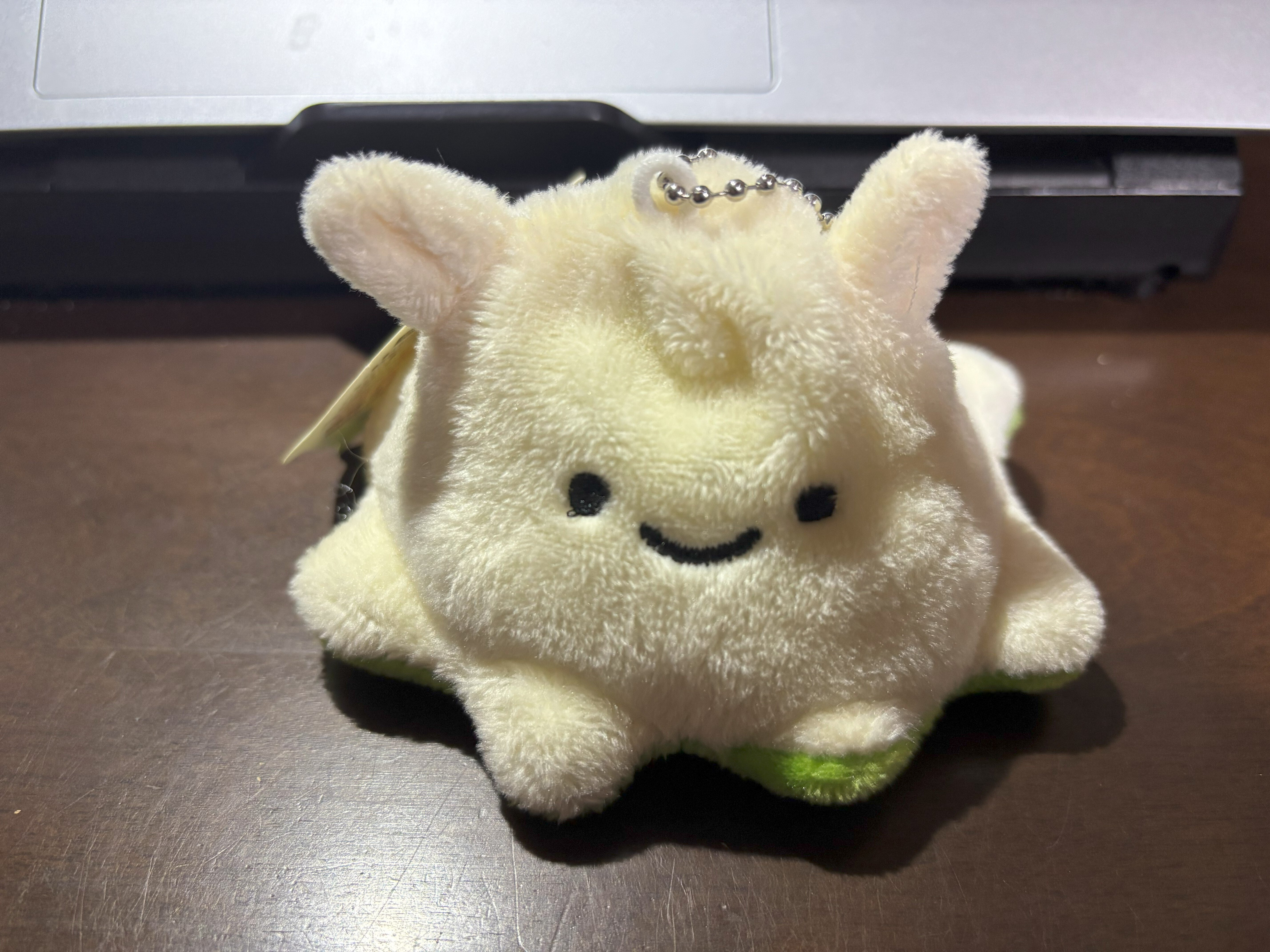 ☺︎︎めんだこ☺︎︎ メンダコがかわいいとか最初に言い出したのは誰なのかしら｜大場さやか