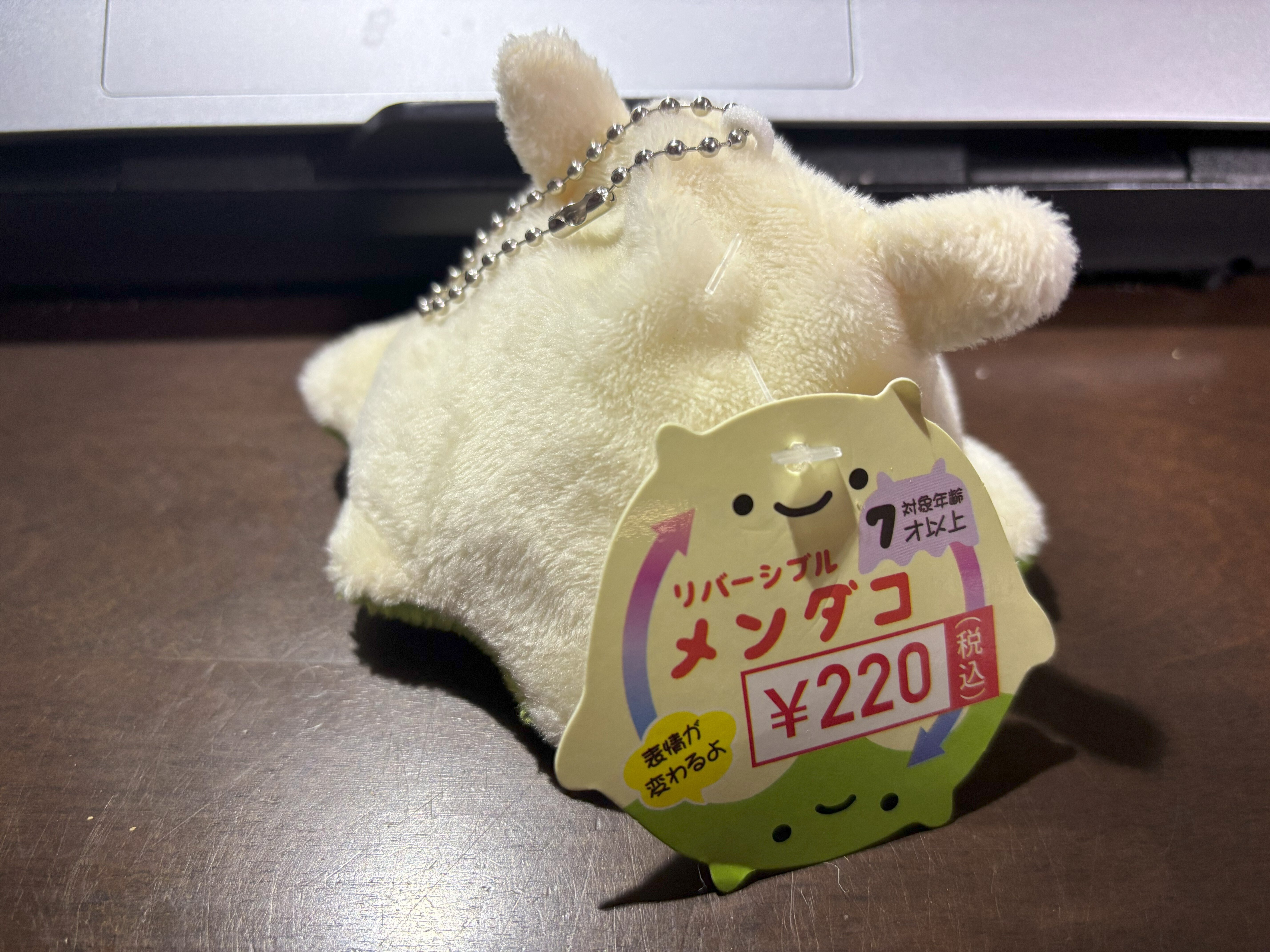 メンダコがかわいいとか最初に言い出したのは誰なのかしら｜大場さやか