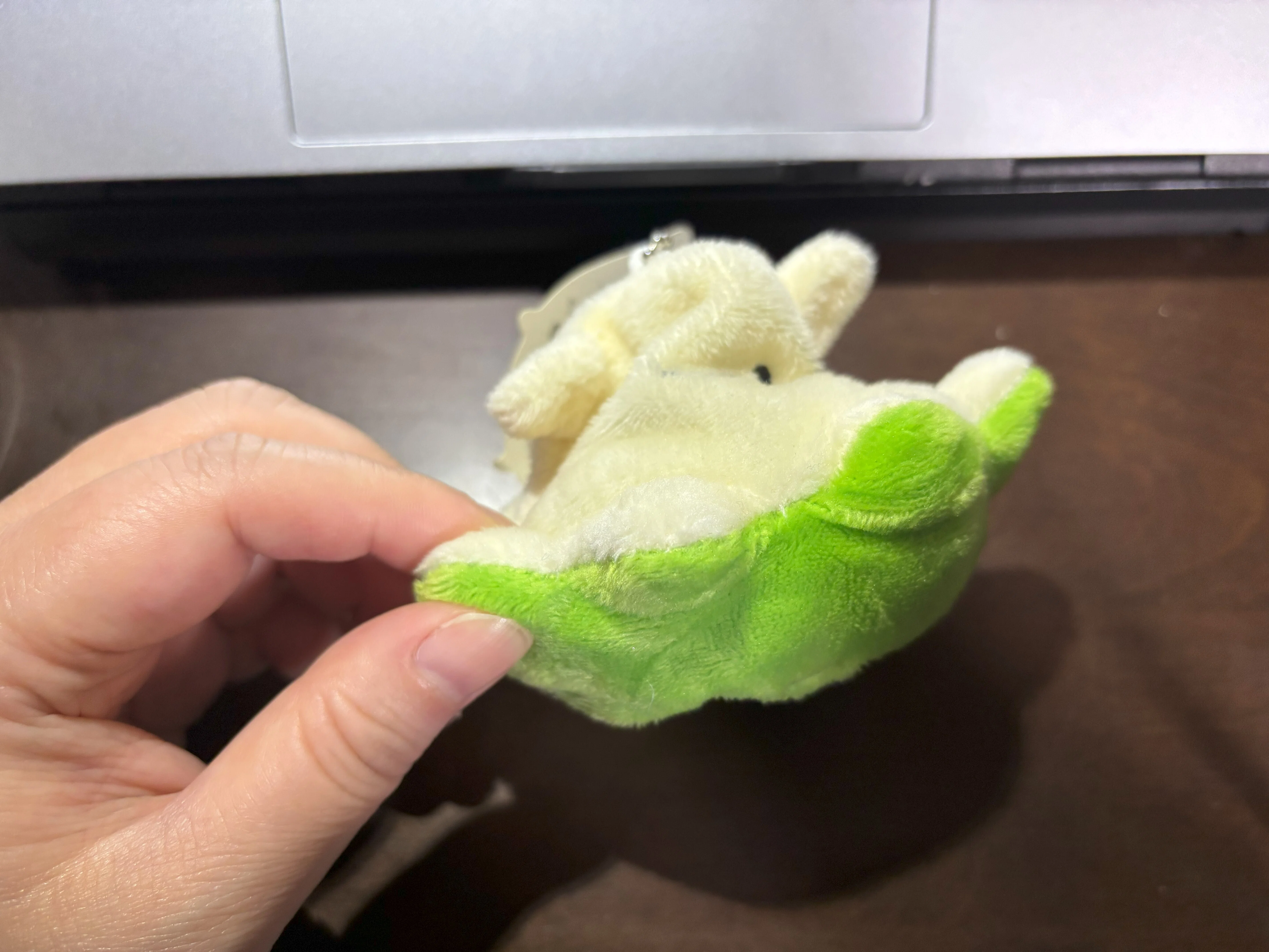 メンダコがかわいいとか最初に言い出したのは誰なのかしら｜大場さやか