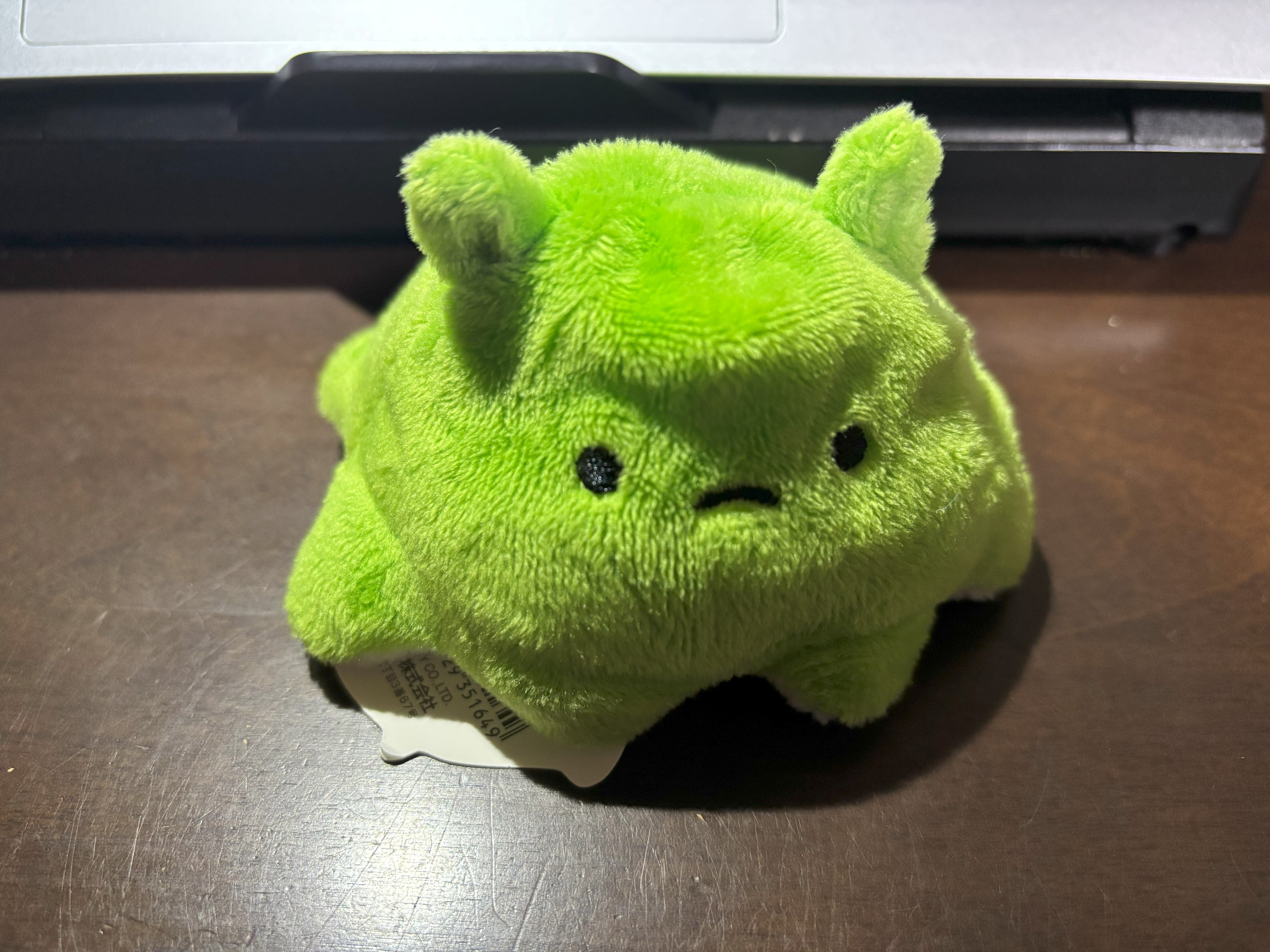 メンダコがかわいいとか最初に言い出したのは誰なのかしら｜大場さやか