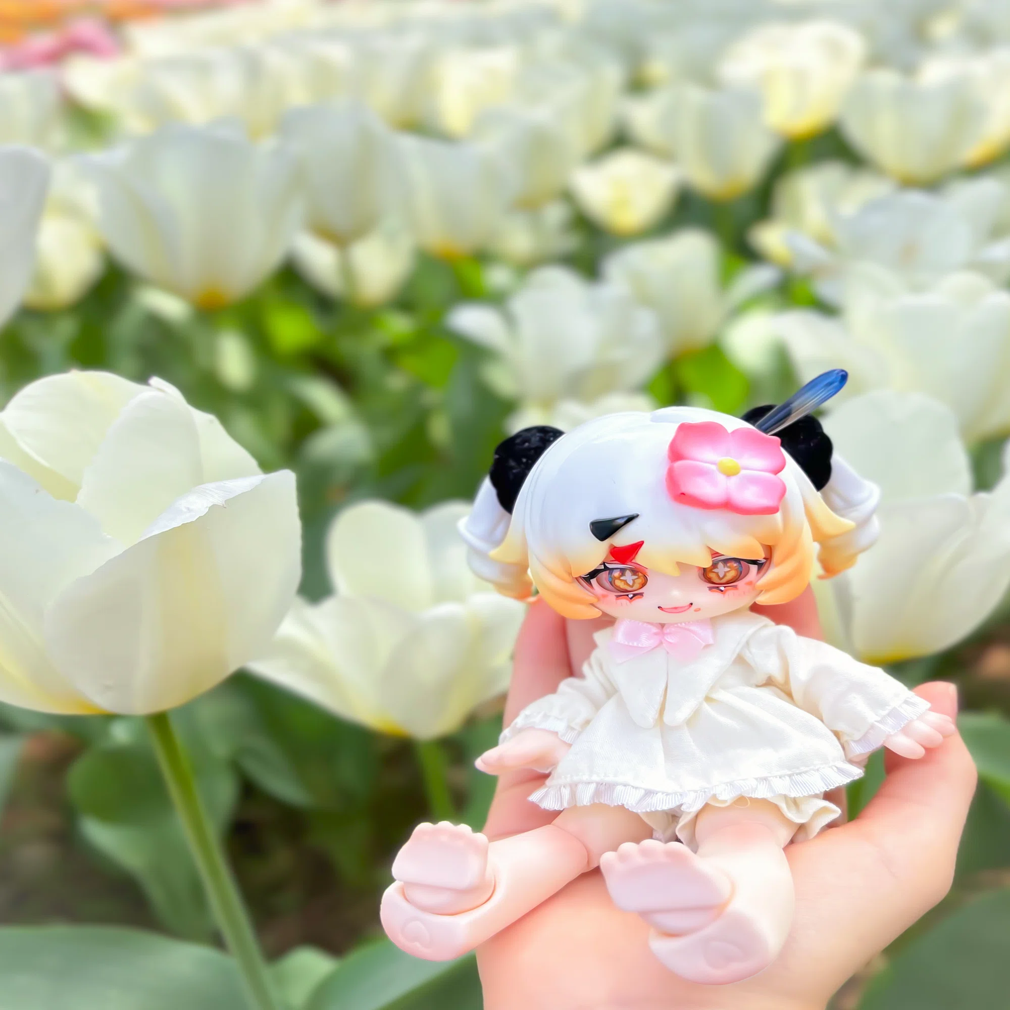 初めての外撮影！ひたち海浜公園でドールとお花の写真を撮ってきた｜みに