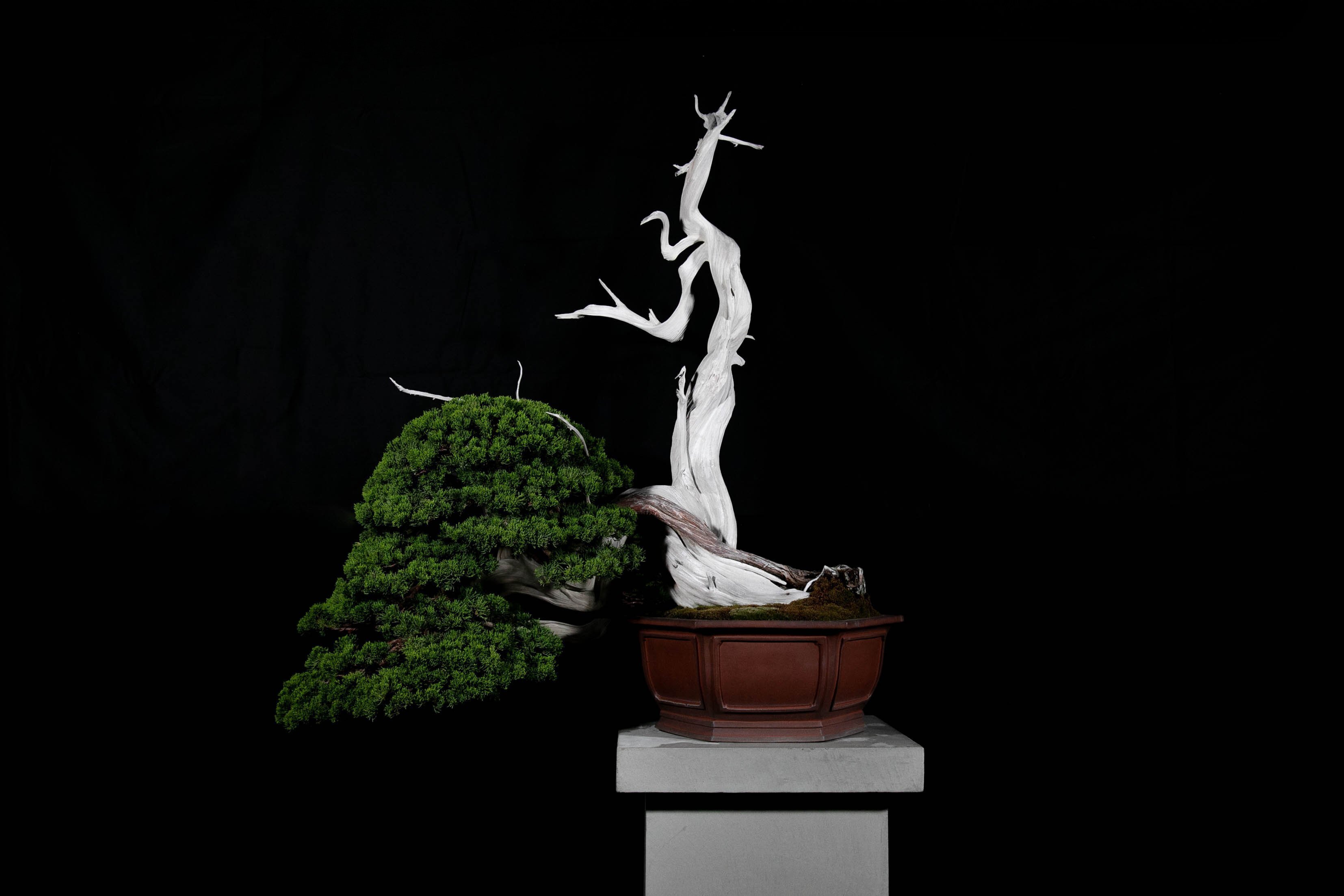 萬葉集研究 〈第32集〉 ヨドバシ.com - 萬葉集研究〈第32集〉 [全集叢書] 通販【全品