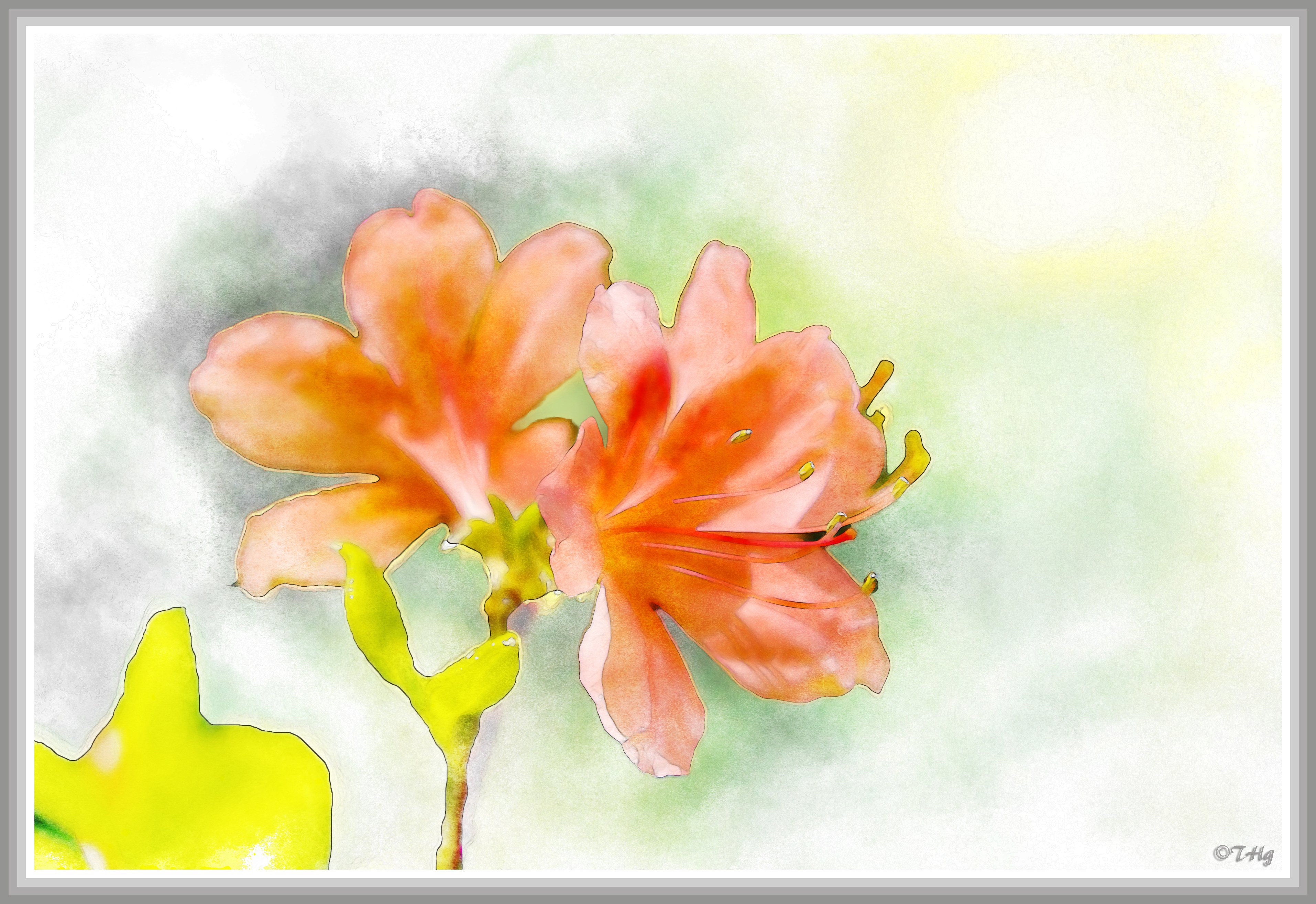 水彩画 風景 やまつつじの咲く森の中 Topaz☆様専用（【初心者の