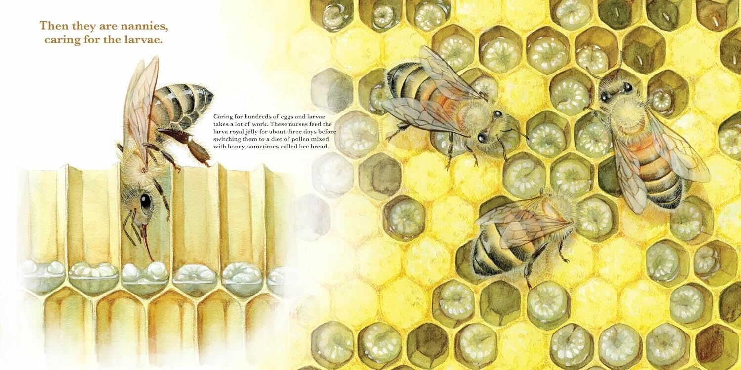 高速配送 制作ウラ話】ミツバチ絵本“They Nature's Bees, Honey Work: アクセサリー