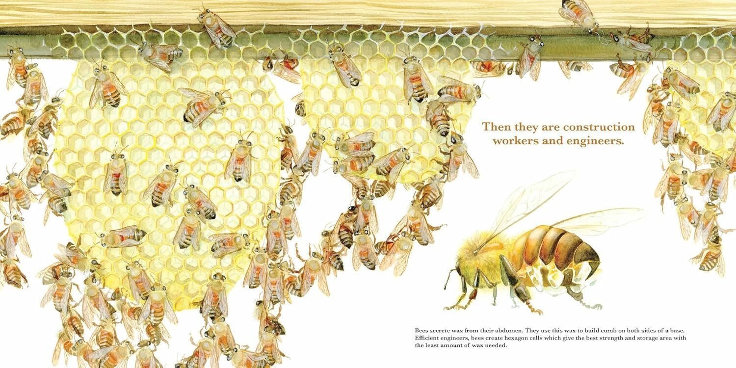 ミツバチの研究書 「The Bees of the World」