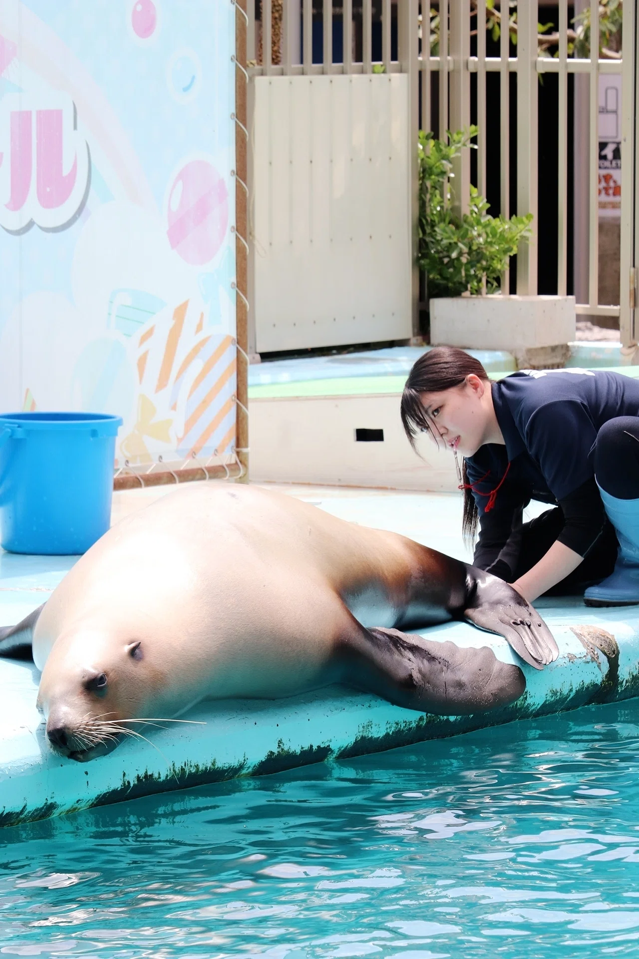 私めちゃくちゃかっこよくないですか？」｜桂浜水族館 公式