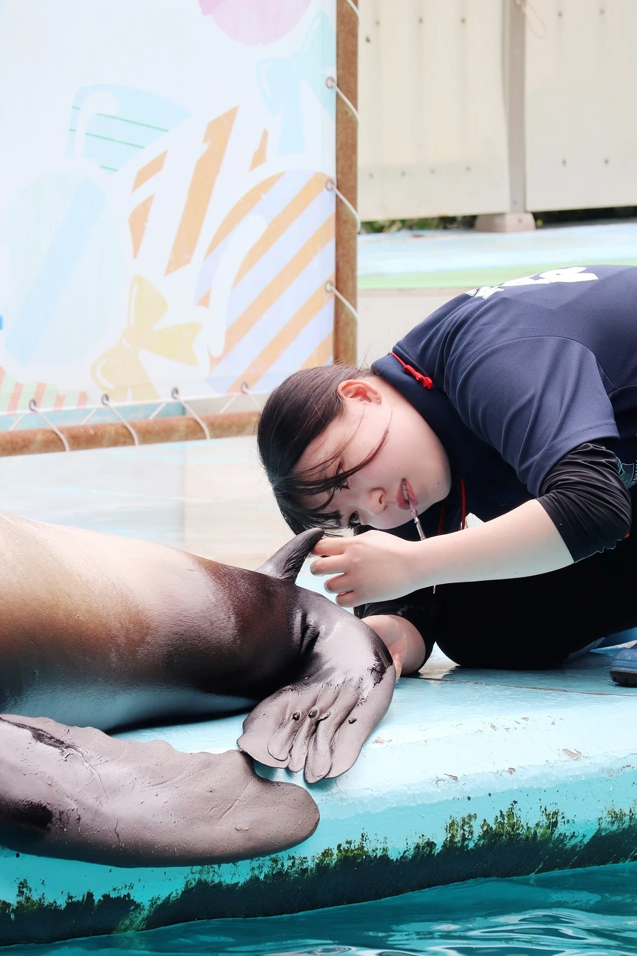 私めちゃくちゃかっこよくないですか？」｜桂浜水族館 公式
