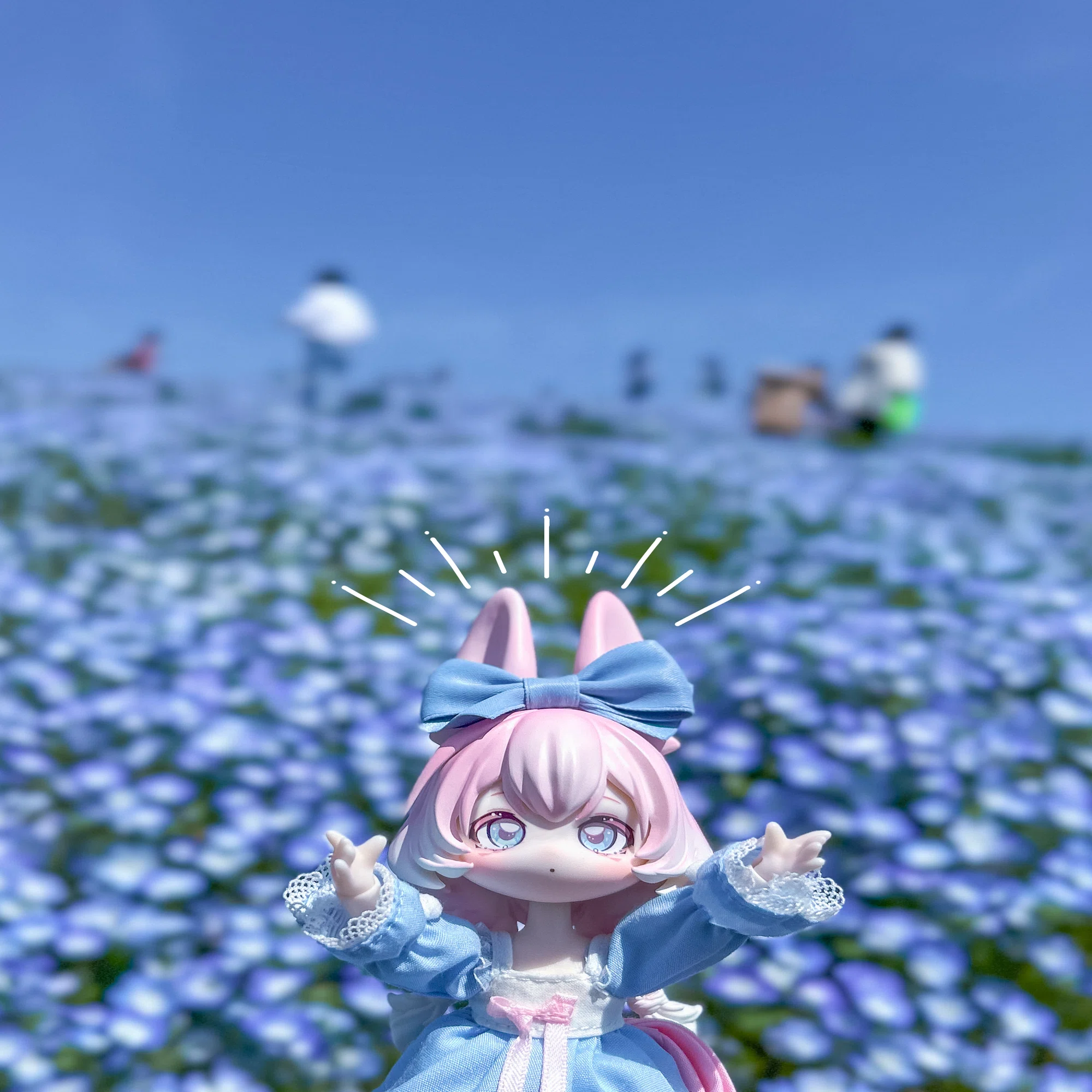 初めての外撮影！ひたち海浜公園でドールとお花の写真を撮ってきた｜みに
