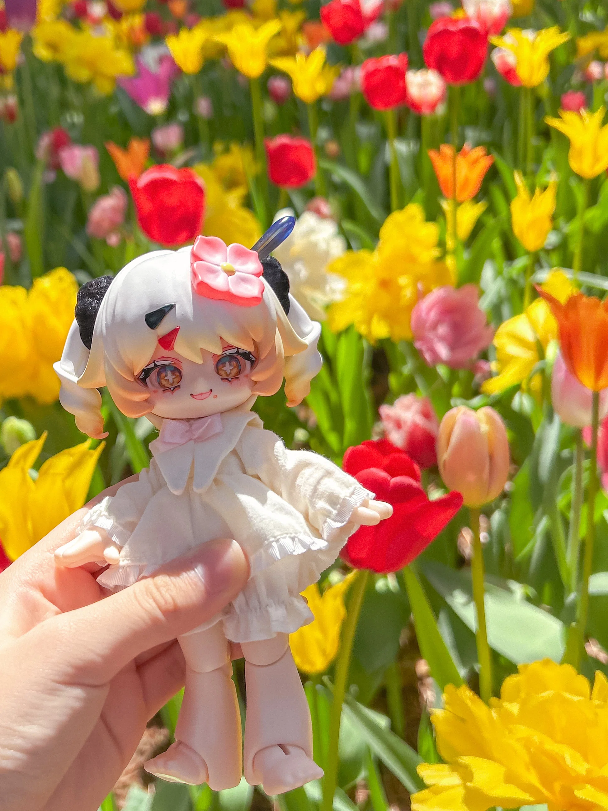 初めての外撮影！ひたち海浜公園でドールとお花の写真を撮ってきた｜みに