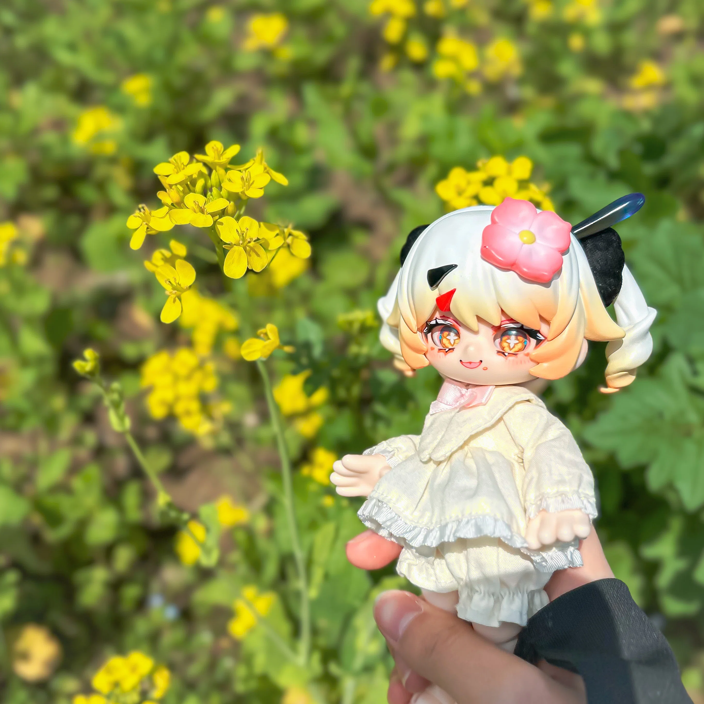 初めての外撮影！ひたち海浜公園でドールとお花の写真を撮ってきた｜みに