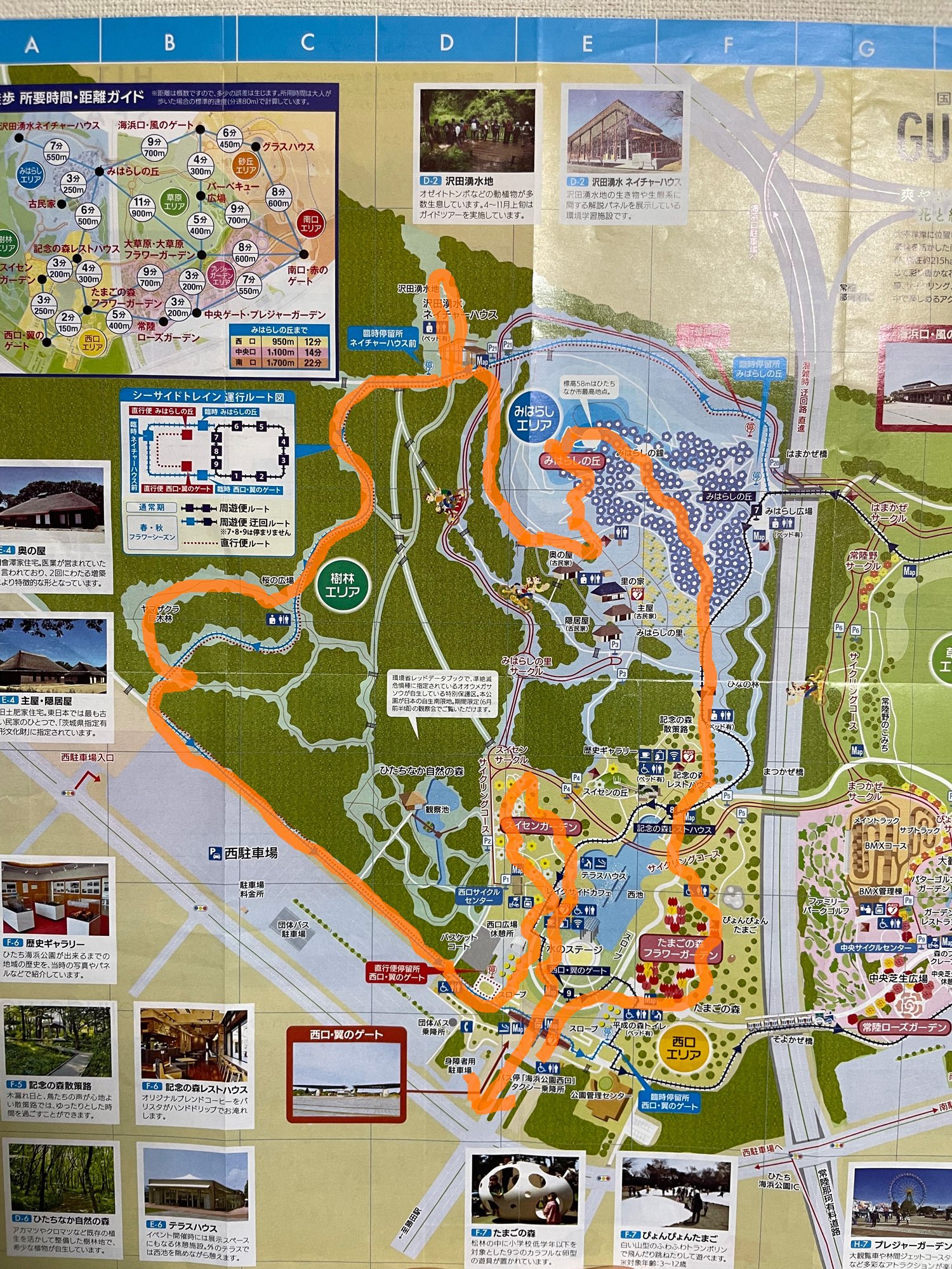 ザックリ眺めて気分転換♪日本地図　世界地図　旅行気分で♪ リュカ on X: 