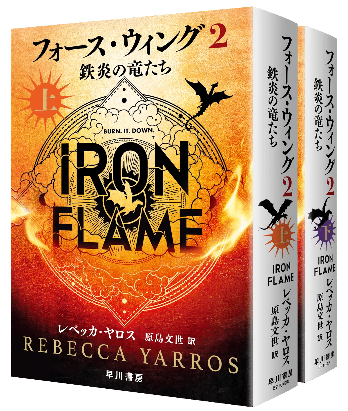 すべてが前巻以上の過激さ……『フォース・ウィング2』池澤春菜氏 解説