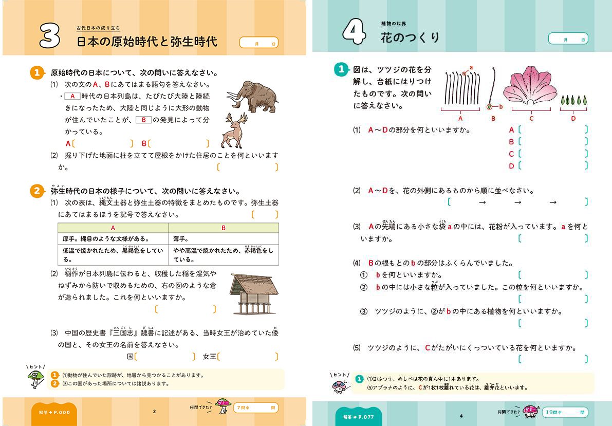 しちだ　右脳高速学習　中学地理　中学歴史　中学公民　中学理科1分野　中1数学 2025年最新】七田 右脳高速学習 中学の人気アイテム - メルカリ