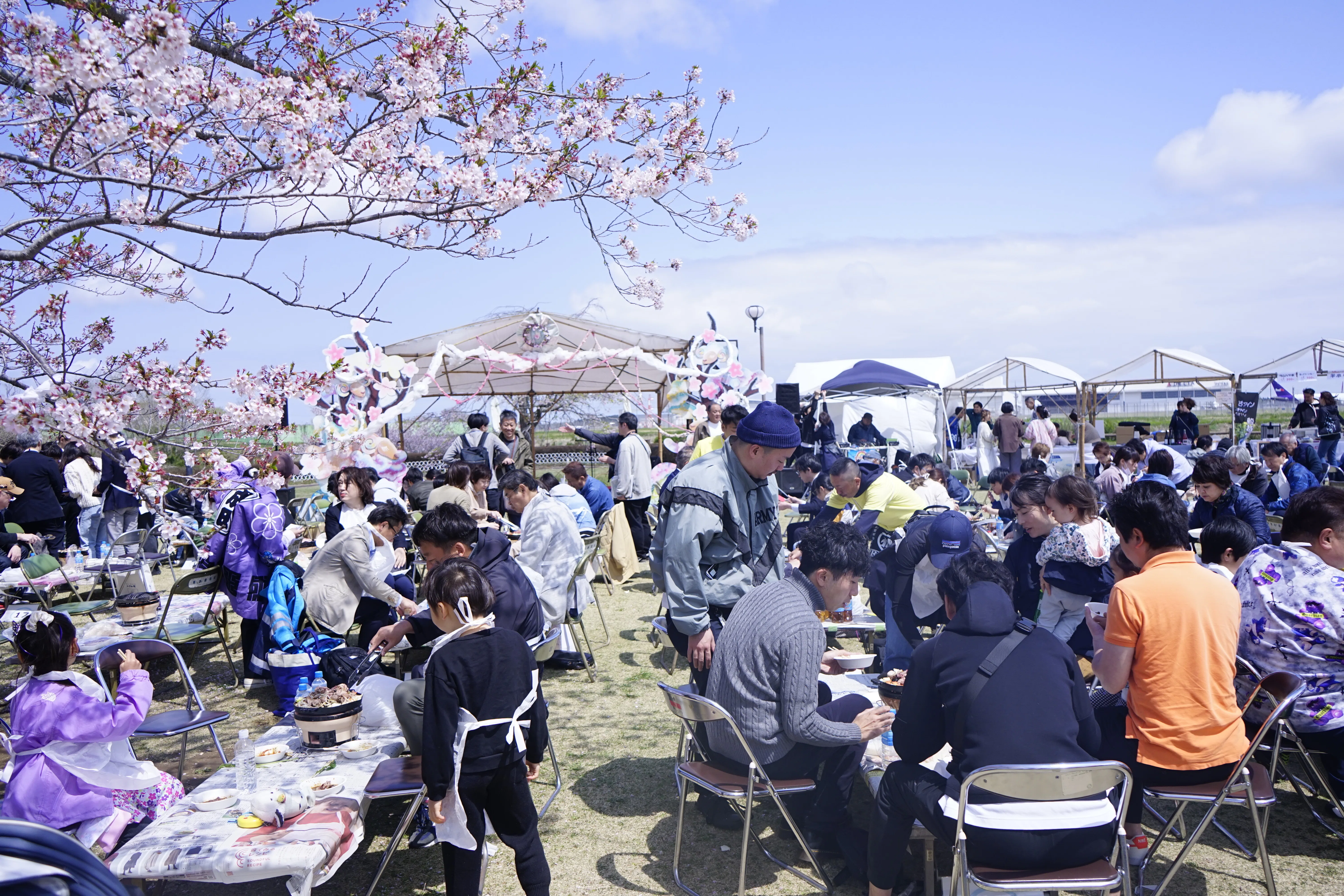 イベントレポート】三里塚さくらの丘で初開催「ひつじと桜の