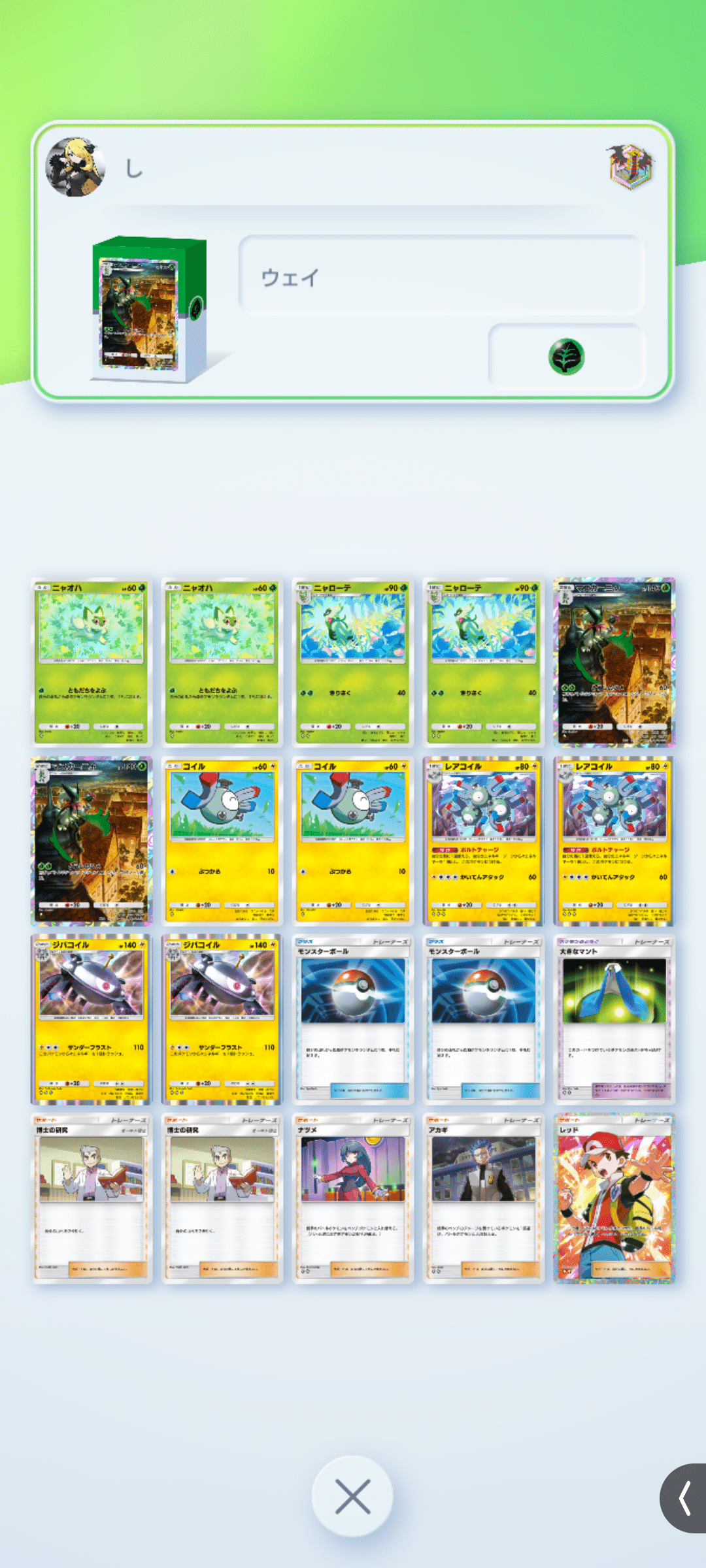 ポケカデッキ【ソウブレイズex】 | デッキ販売コーナー