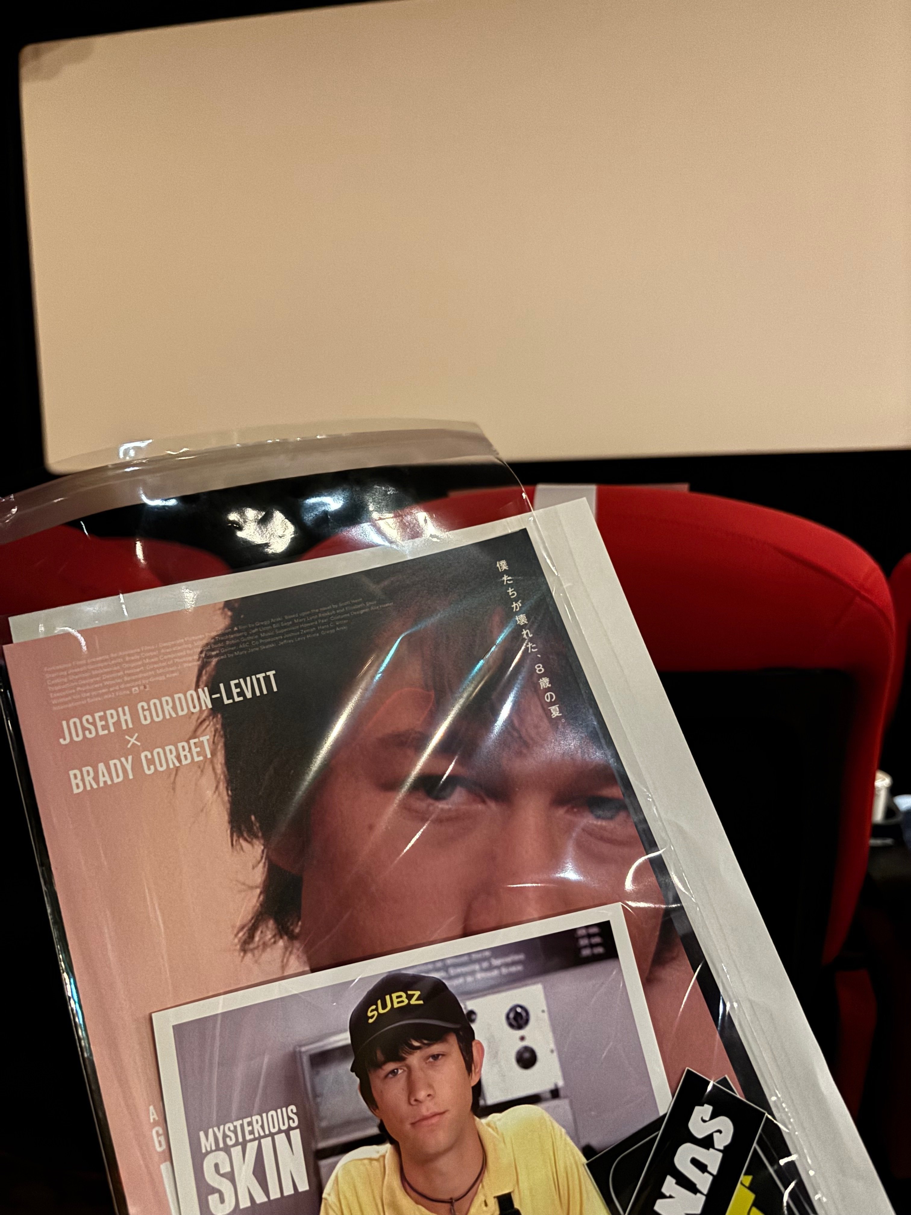 ミステリアス・スキン』レビュー・感想 （1）ネタバレなし｜高野駒子