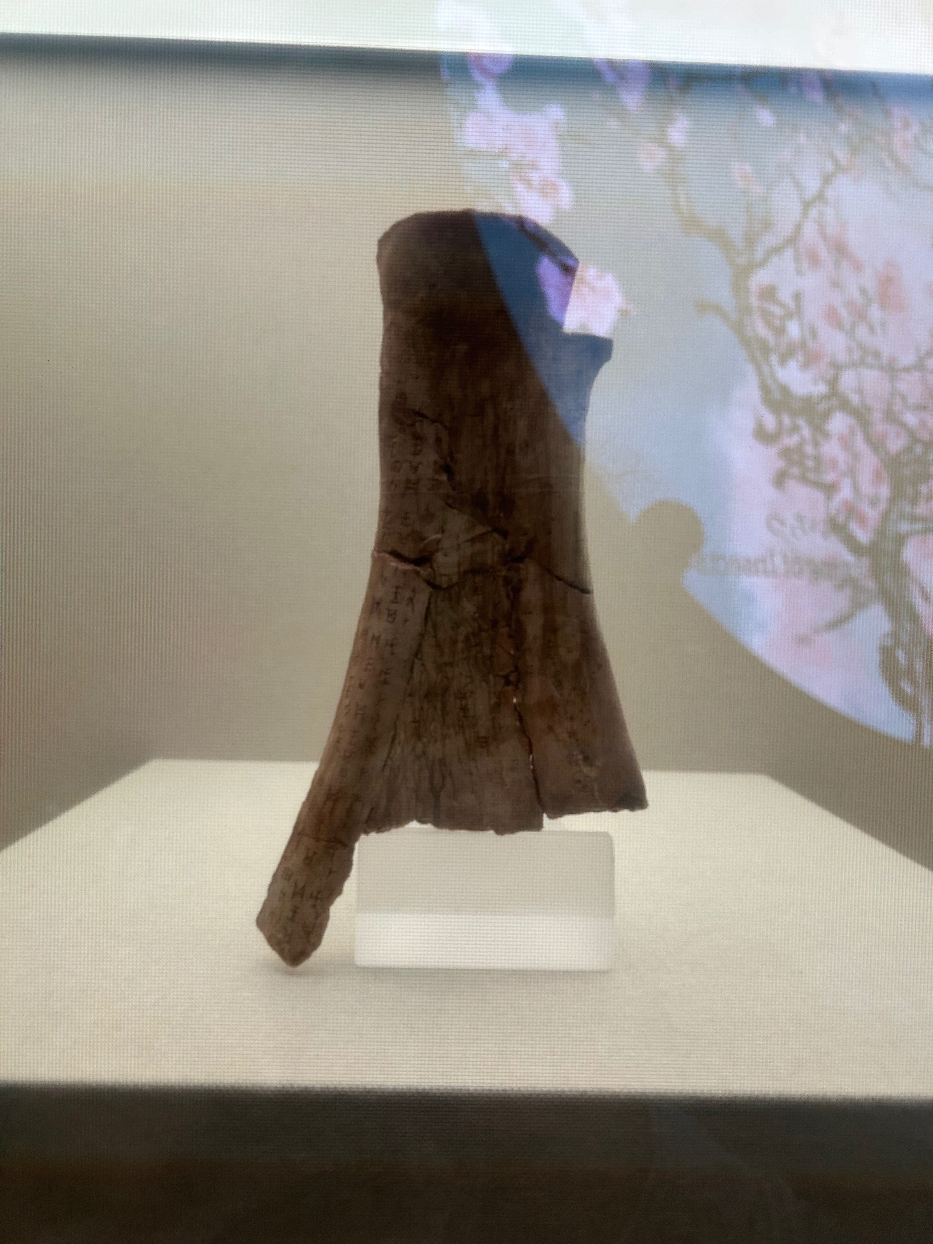 キングダムや漢字の歴史や歴史、古代遺跡、パンダに出会える見応えあり