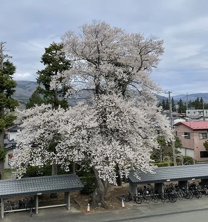 授業風景R7.4.24｜遠野高等学校