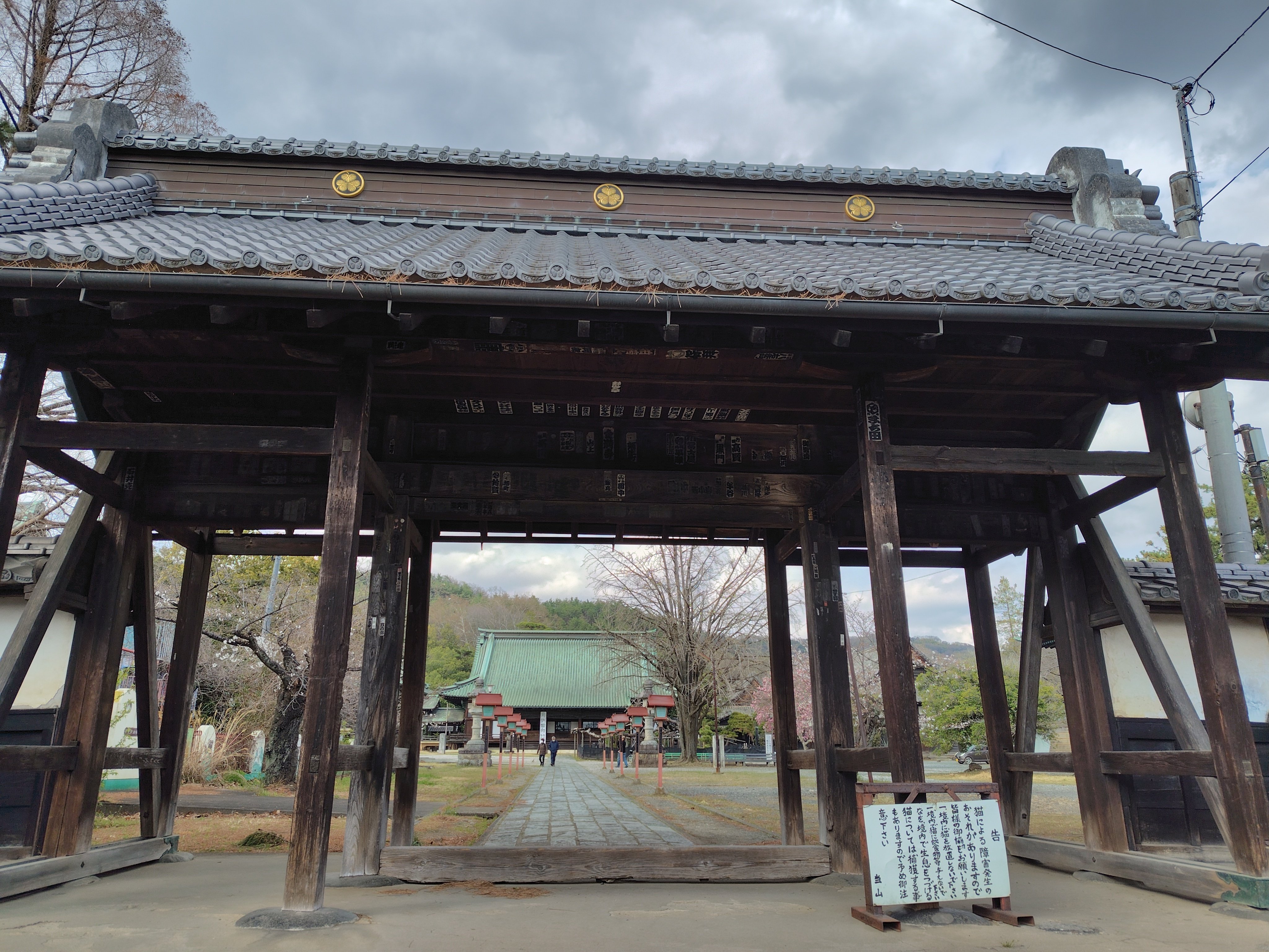 太田金山子育て吞龍大光院掛け軸 太田市のオススメ寺院 | 子育て呑龍「大光院」。 -境内の様子