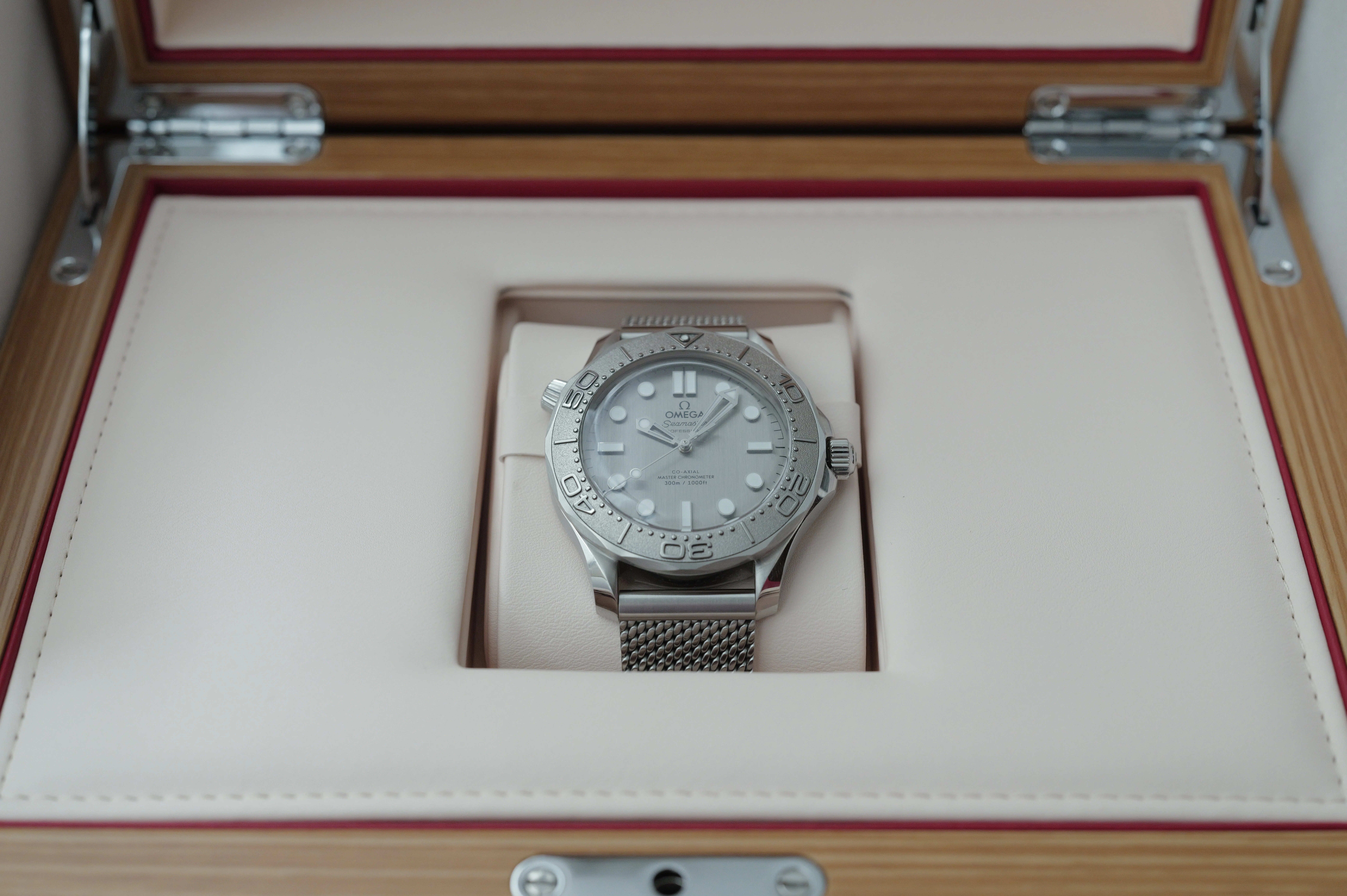 OMEGA Seamaster Diver 300M｜むりどん