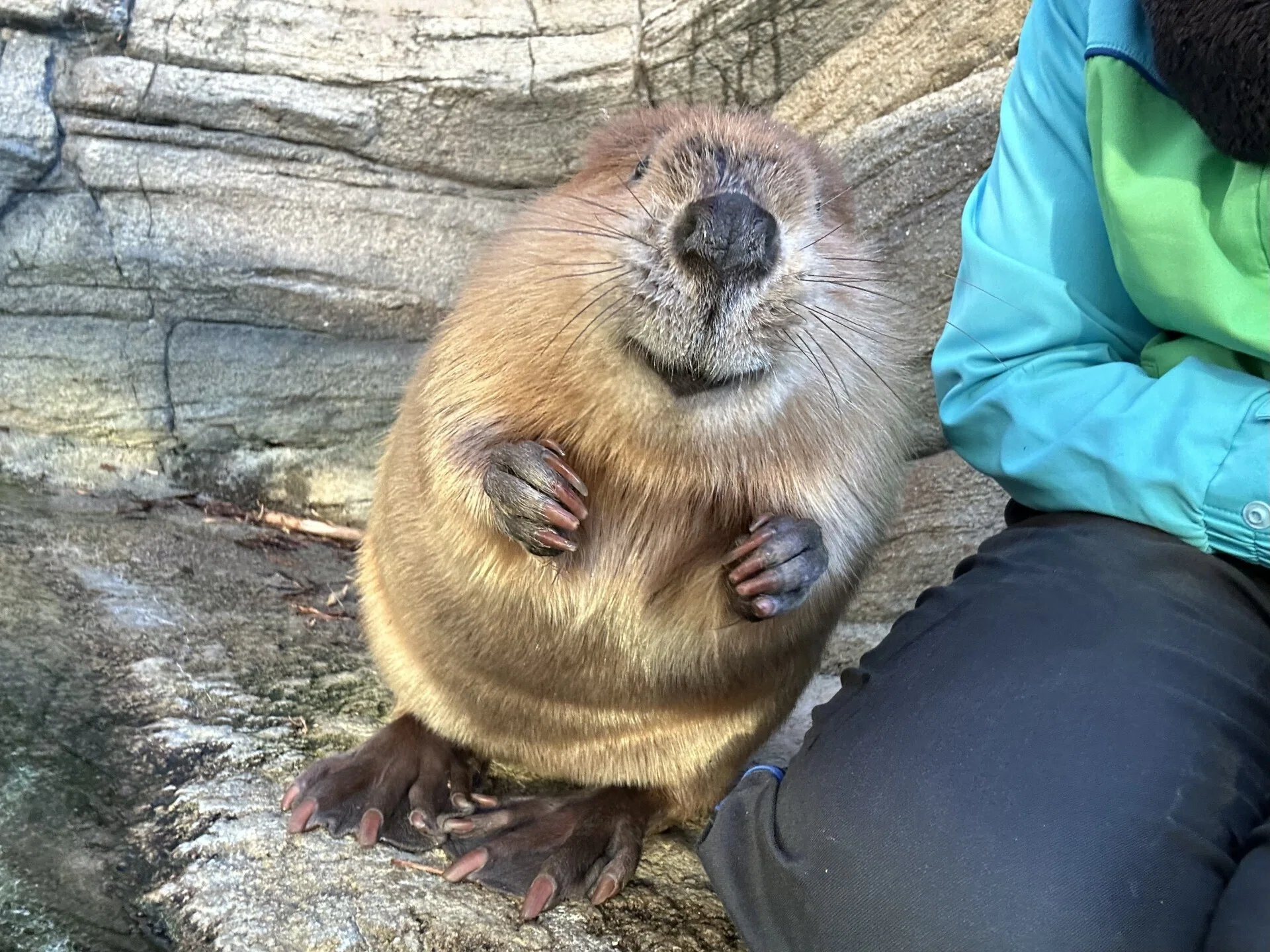 ふるさとのおはな｜仙台うみの杜水族館