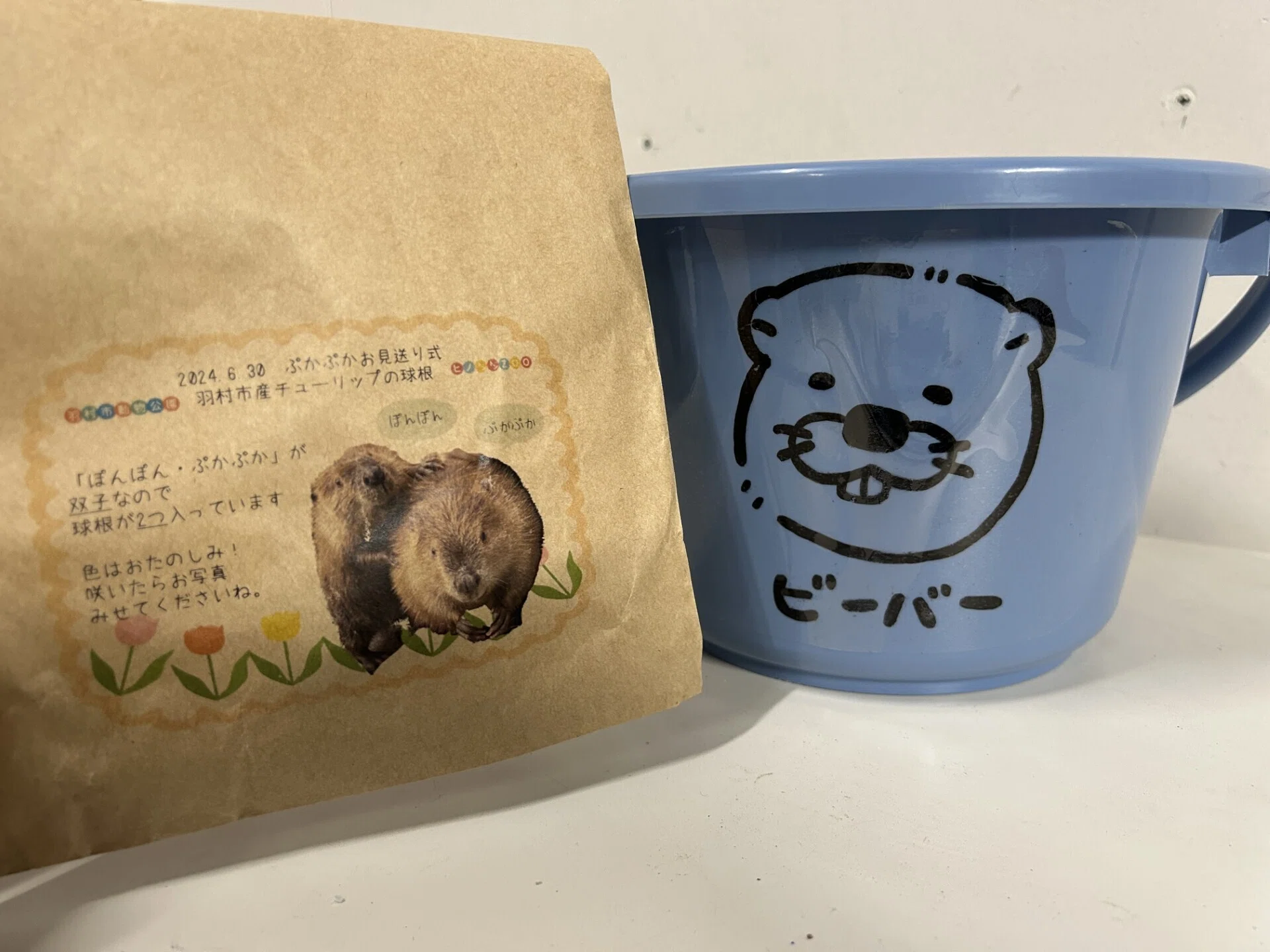 ふるさとのおはな｜仙台うみの杜水族館