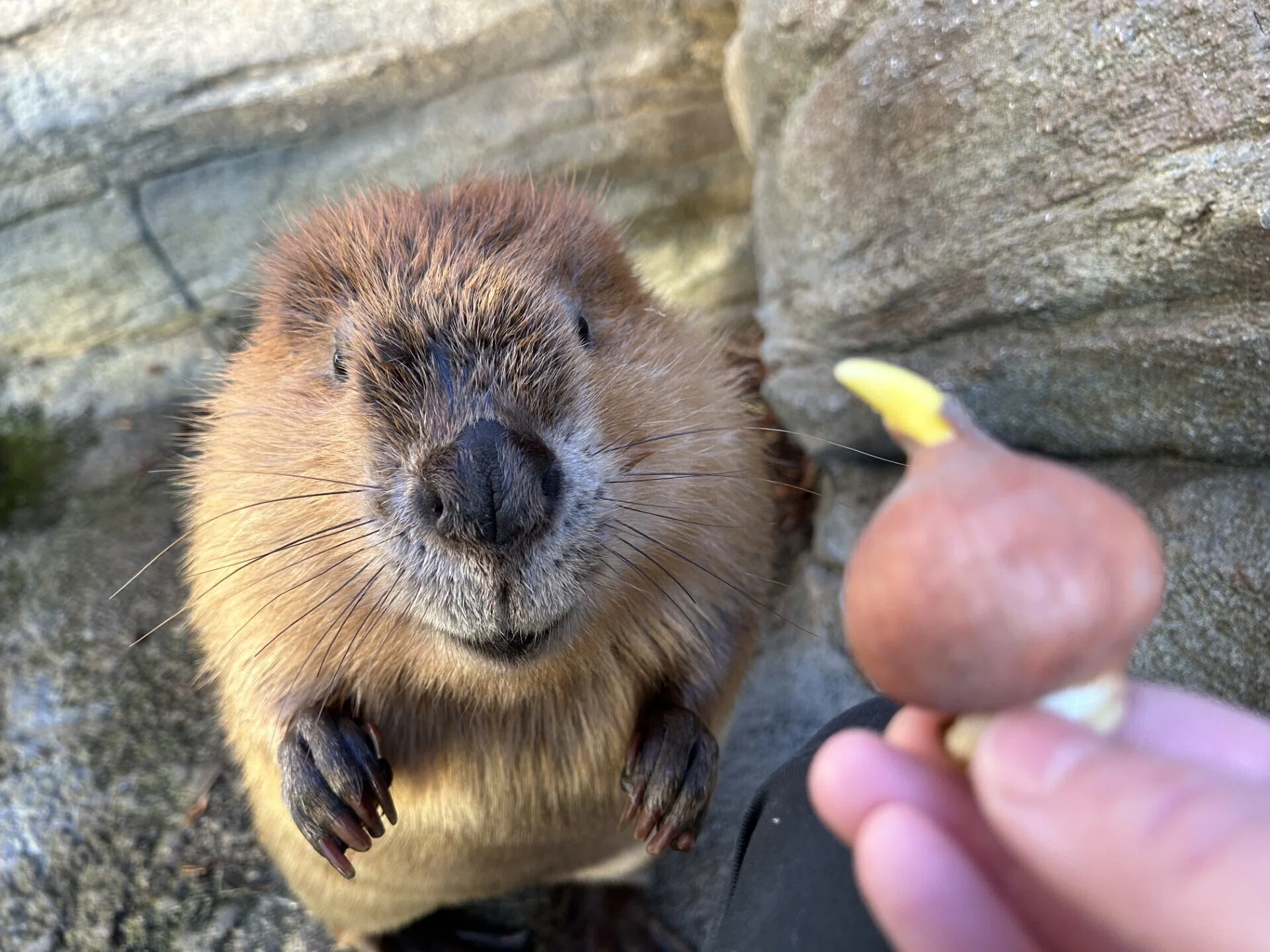 ふるさとのおはな｜仙台うみの杜水族館