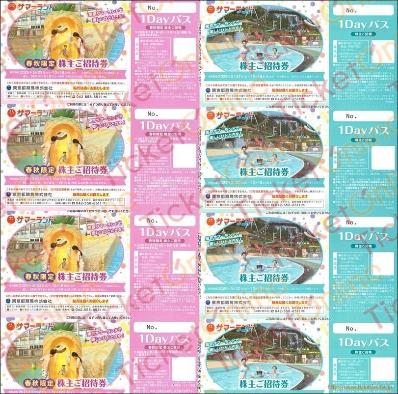 東京サマーランド 1Dayパス 4枚セット