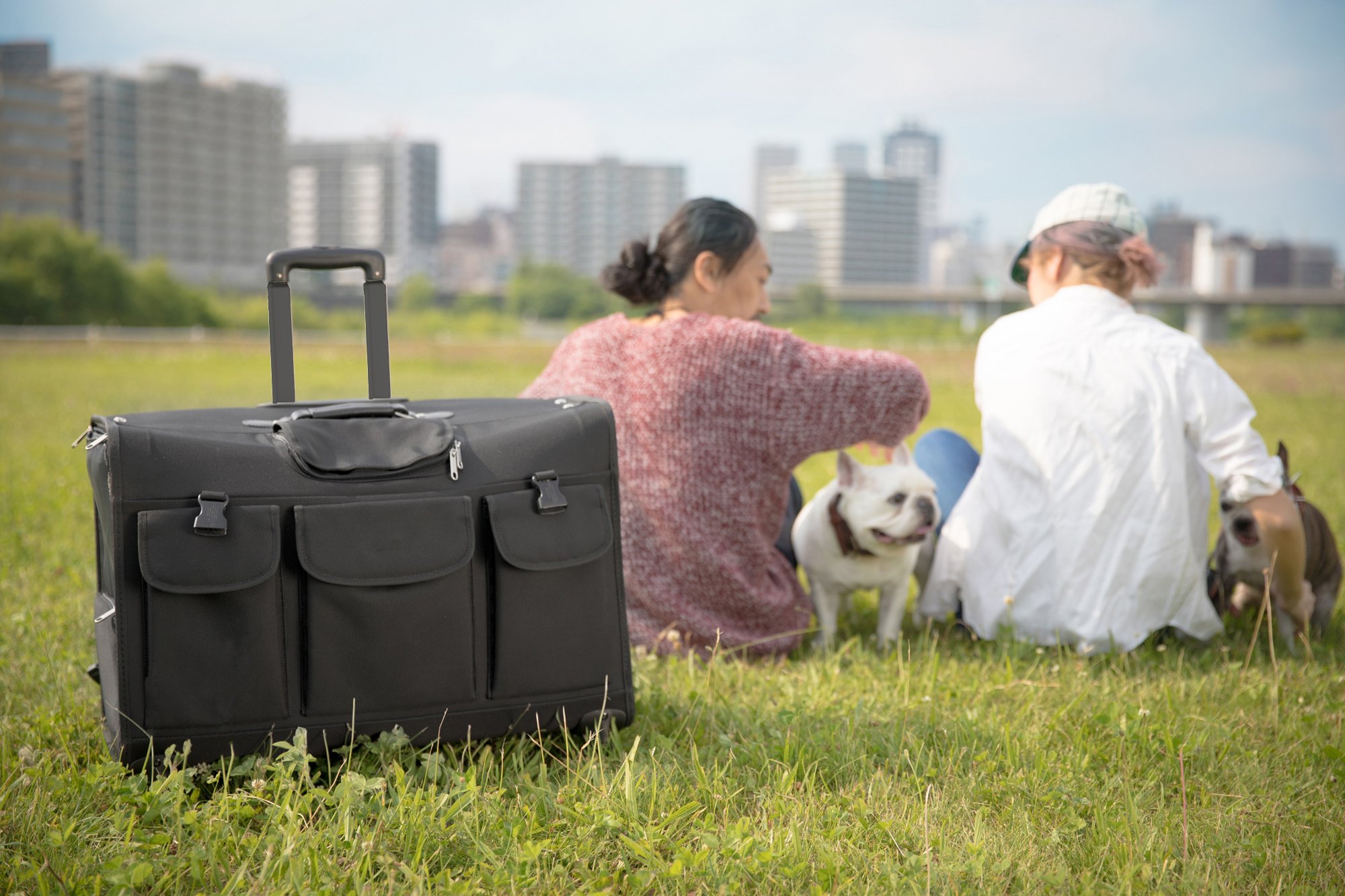 中型犬用ペットキャリー開発秘話・第4話「Lサイズが愛された4つの理由