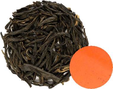 Nilgiri