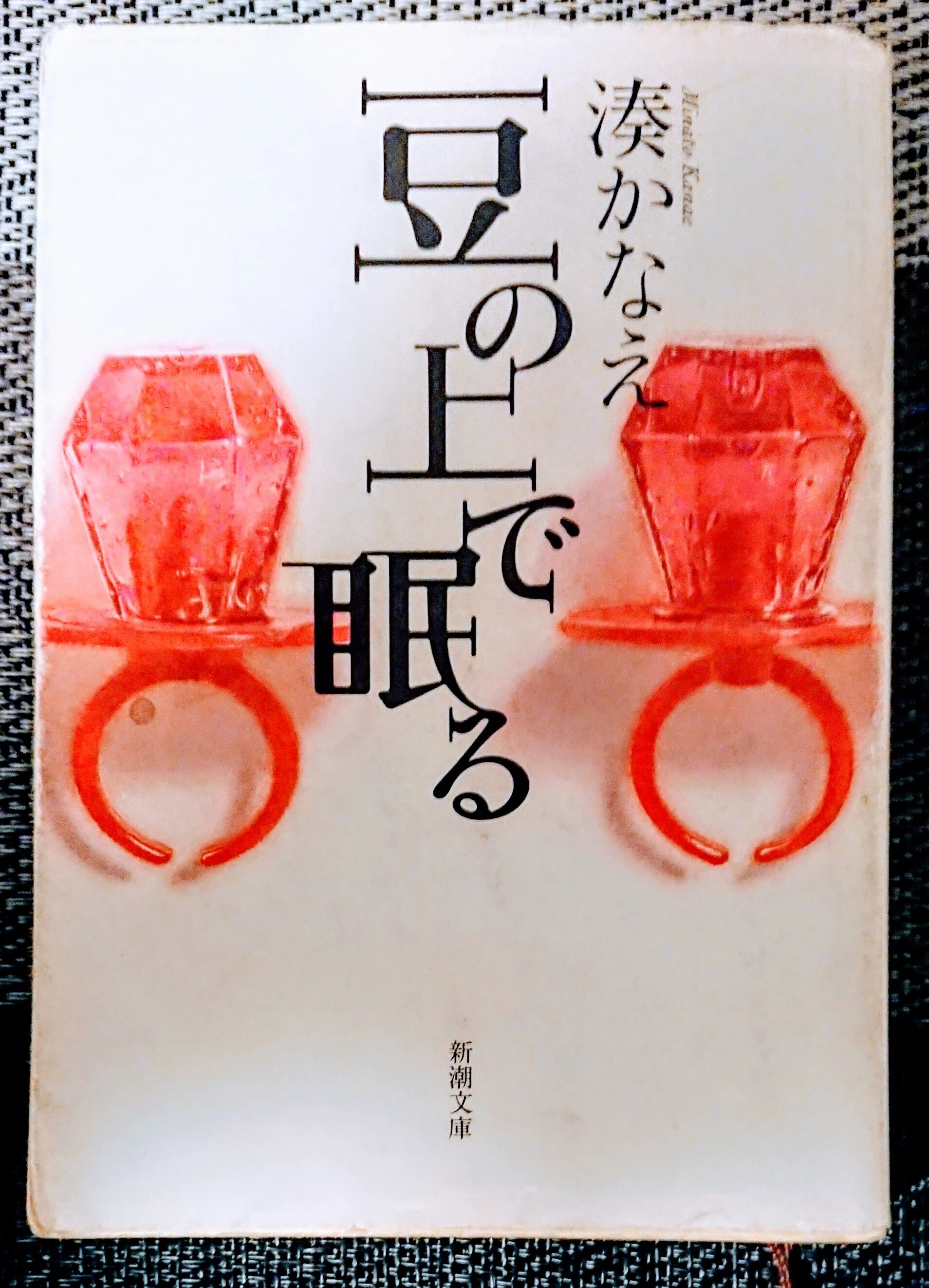 読書記録「豆の上で眠る」｜川口 竜也 / 川口市出身の自称読書家