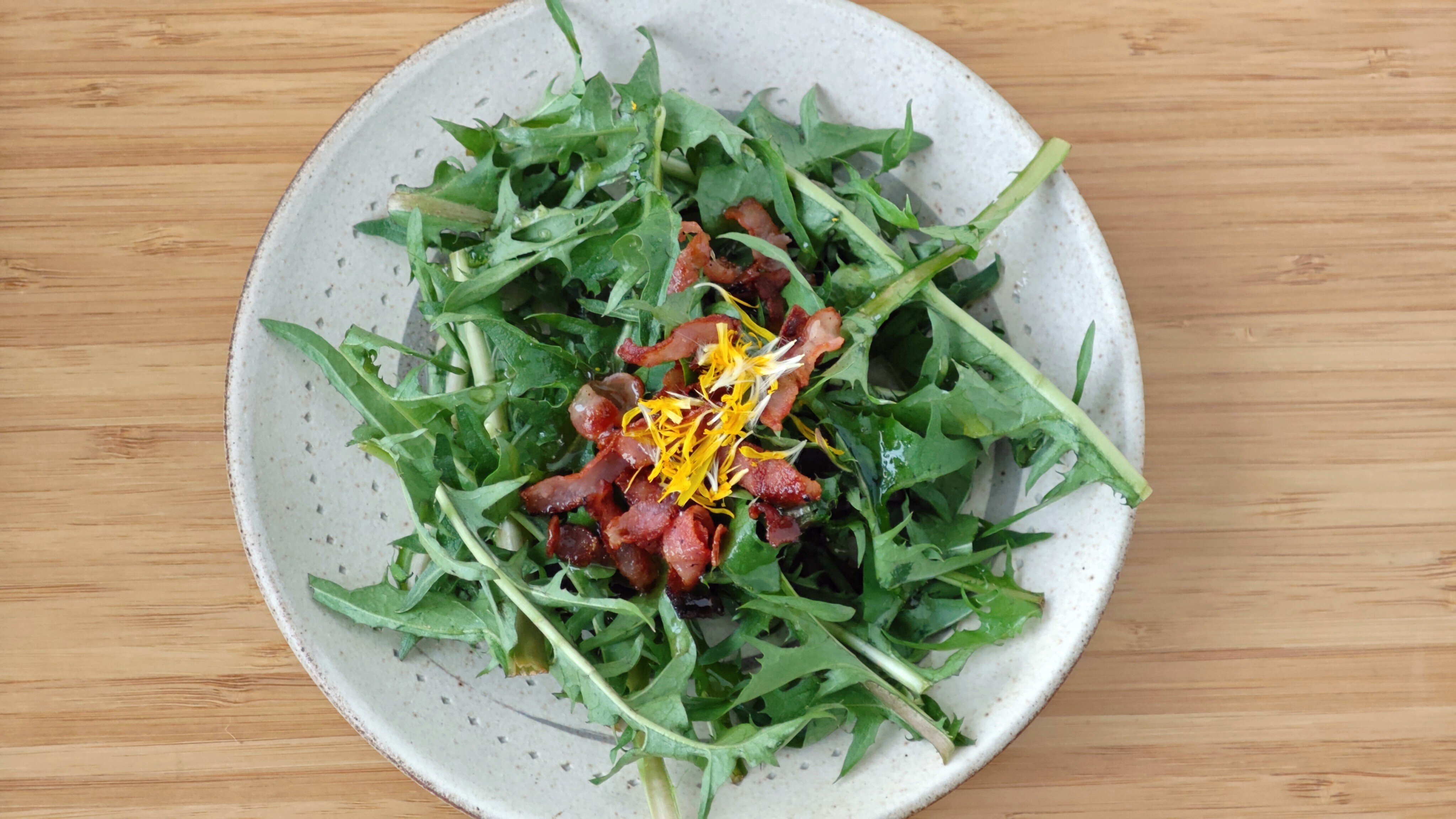 タンポポ　フォロー割 タンポポ - Wikipedia