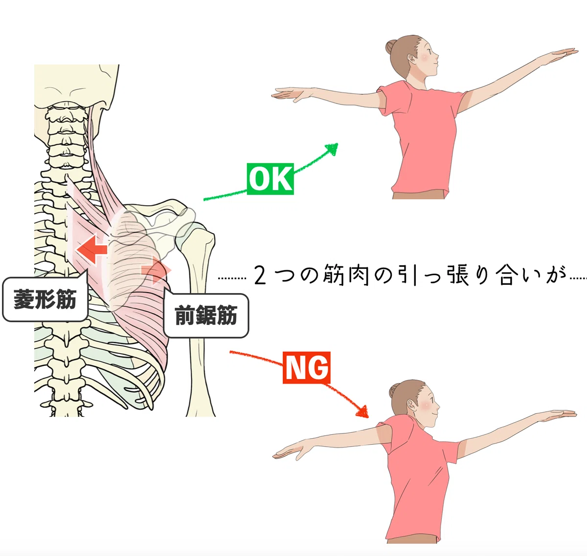 [Shoulder & Scapula Improvement Series Part 2] Improve Mobility! 3 Ways ...