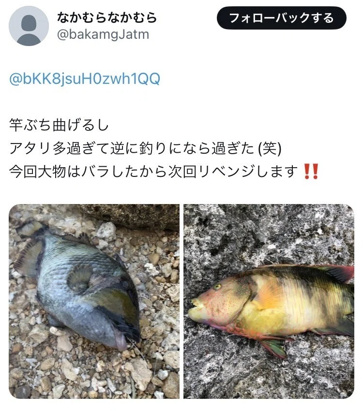打ち込み釣りn 【公式通販】