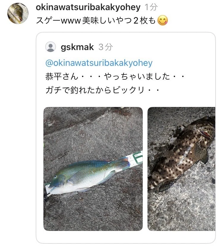 沖縄打ち込み釣り】初心者でも打ち込み釣りで高確率で大型魚を釣る方法 