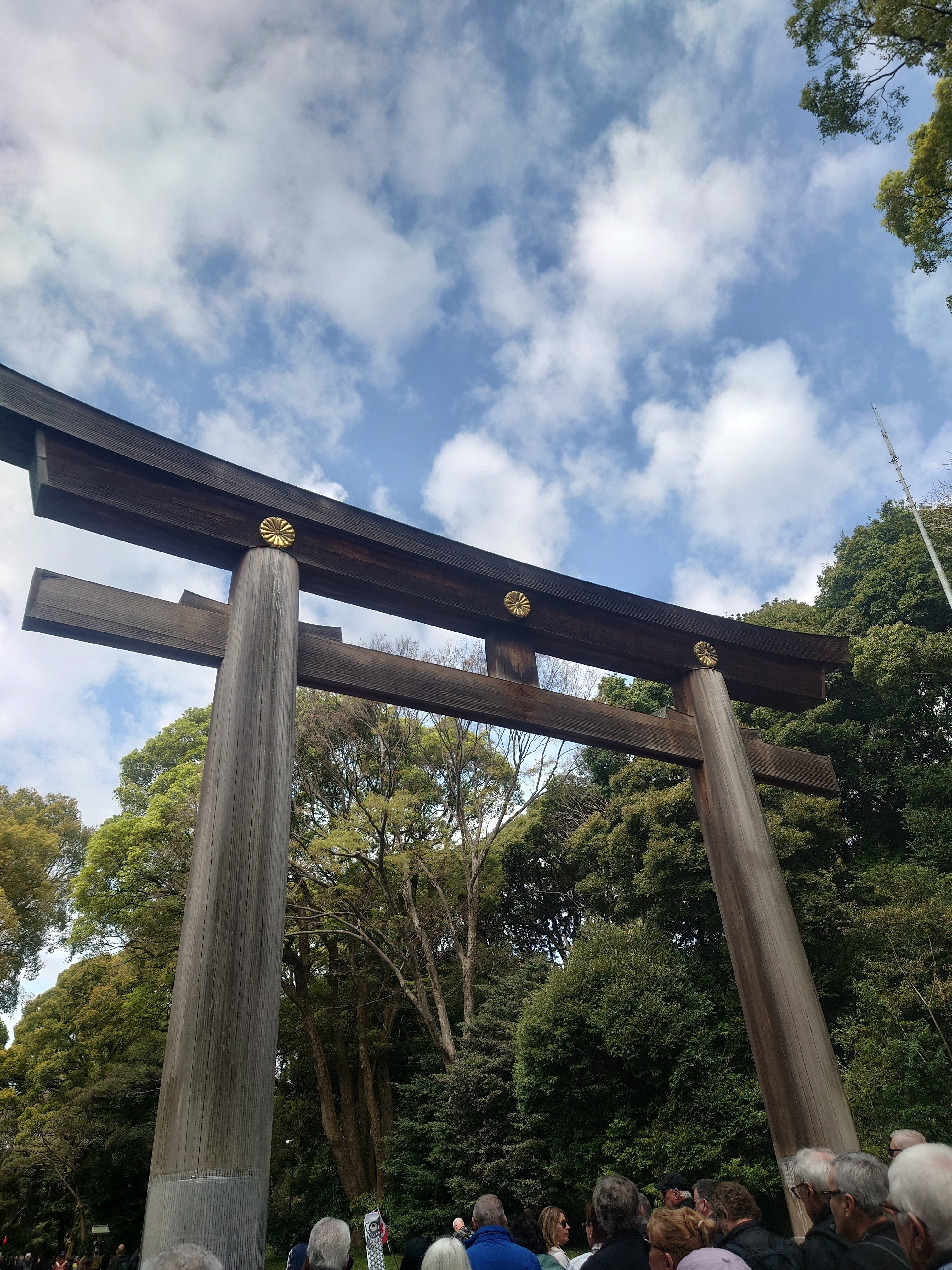 明治神宮 初参拝｜セリ ／龍神様との日常