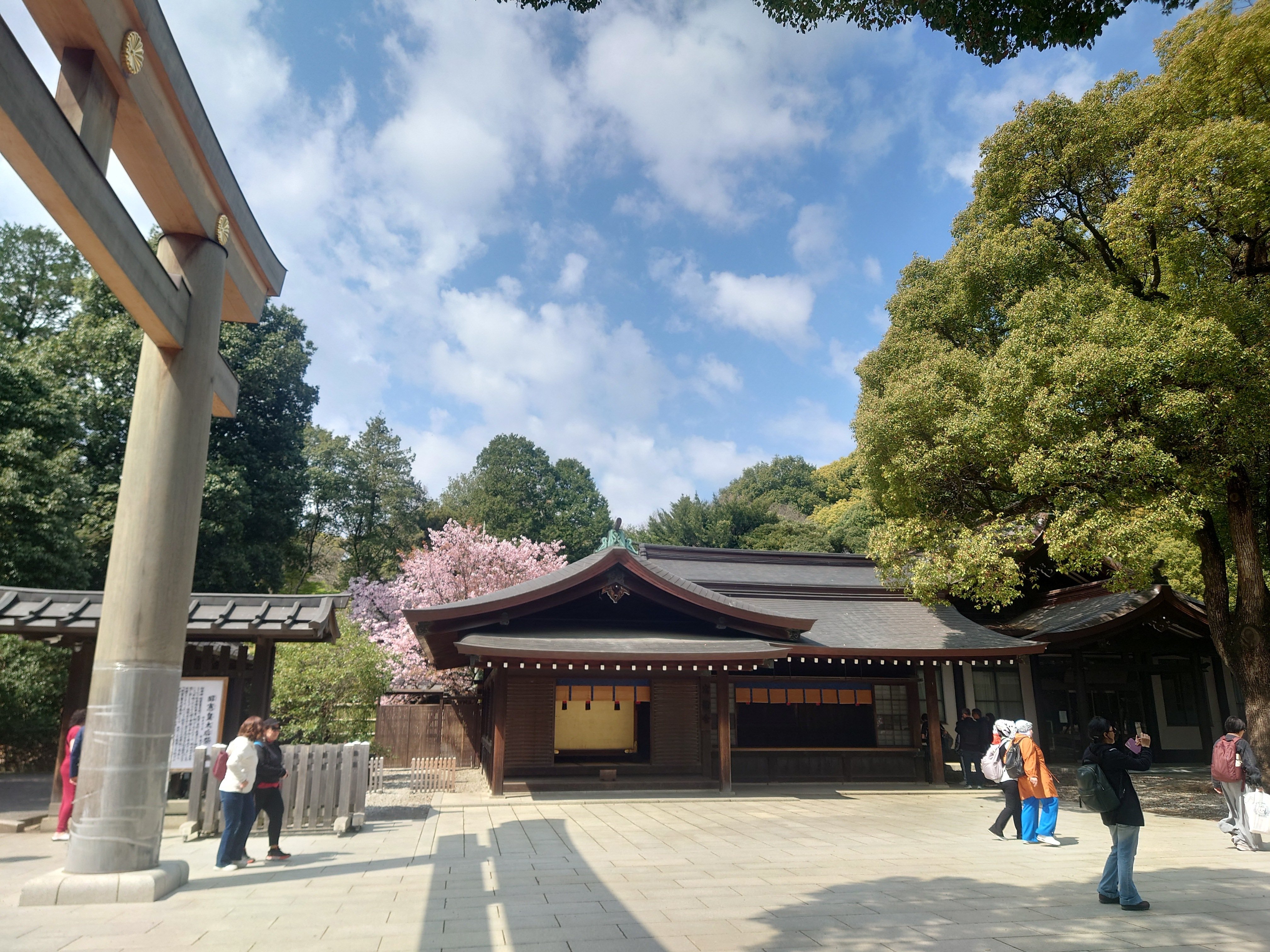 明治神宮 初参拝｜セリ ／龍神様との日常