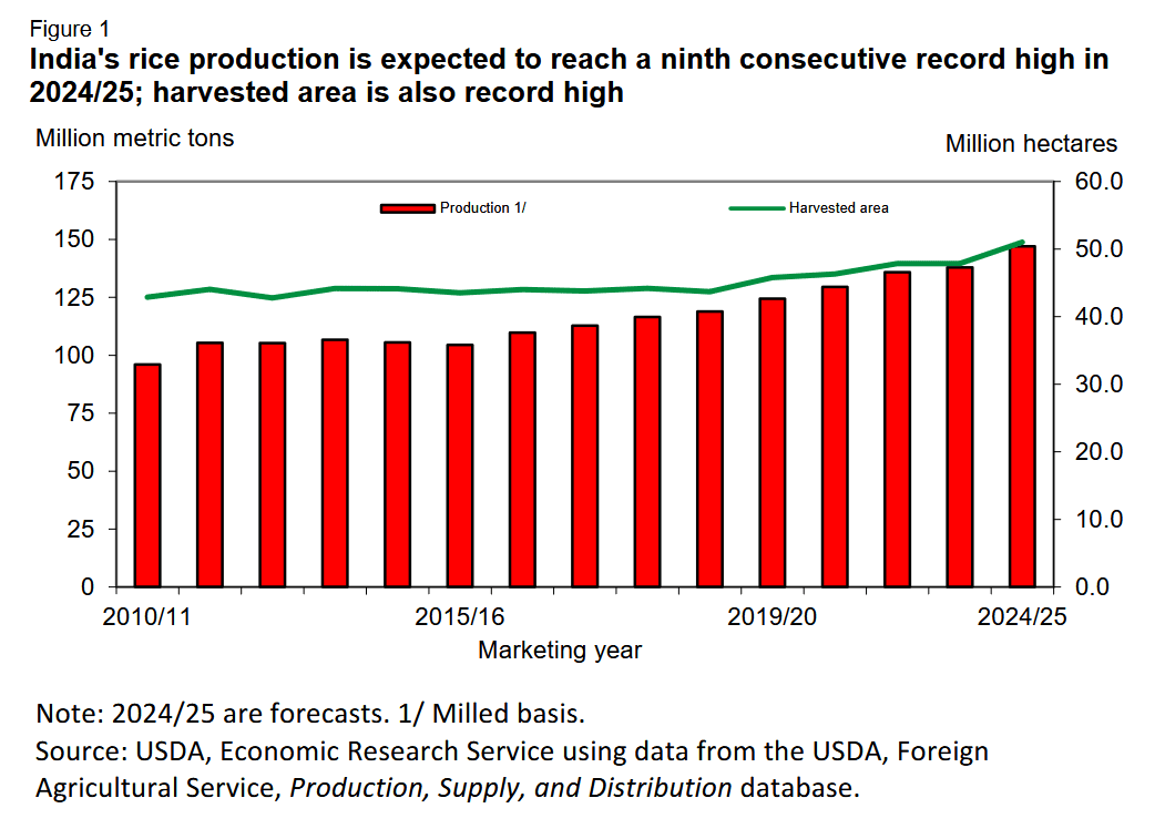 インドがコメ生産で世界首位に 初めて中国抜く｜世界のアグリフード
