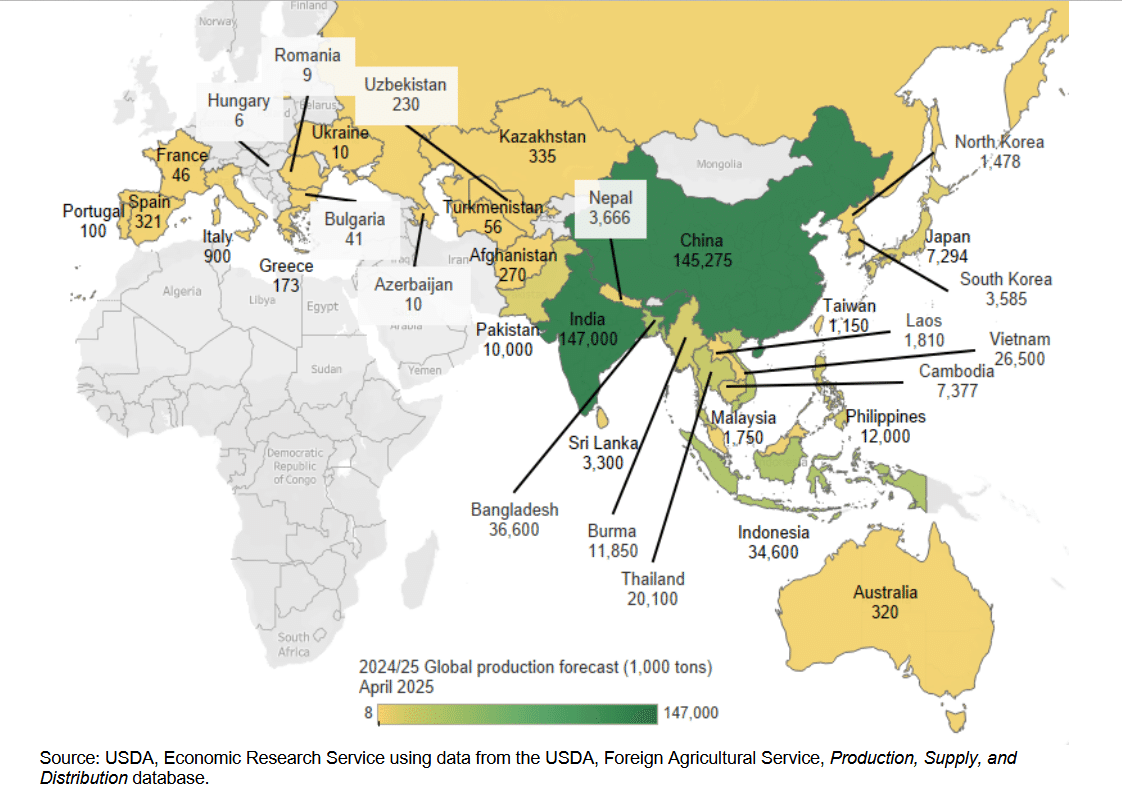 インドがコメ生産で世界首位に 初めて中国抜く｜世界のアグリフード