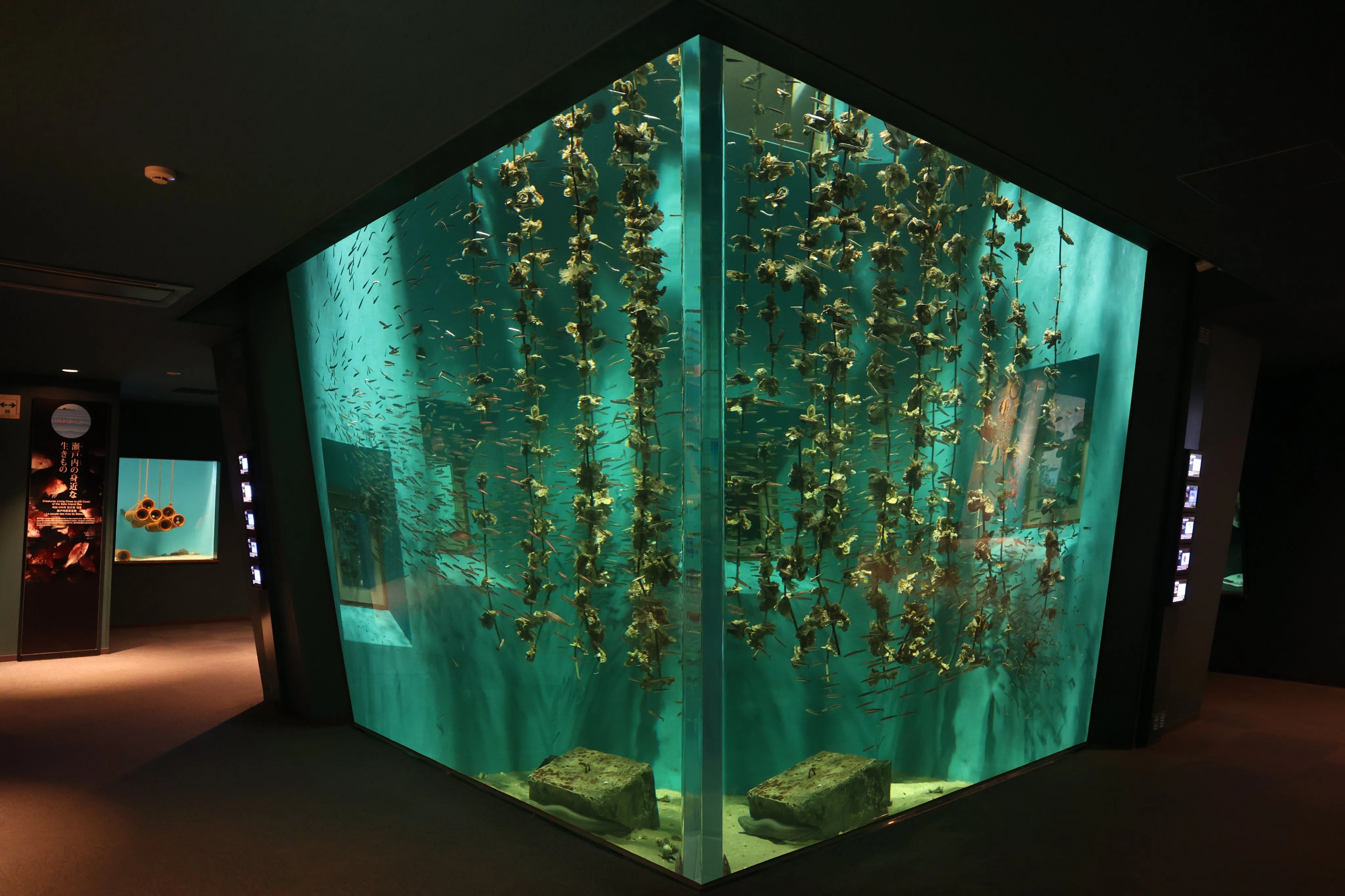 Zoo and Aquarium Architecture Introduction] Part 11: Miyajima