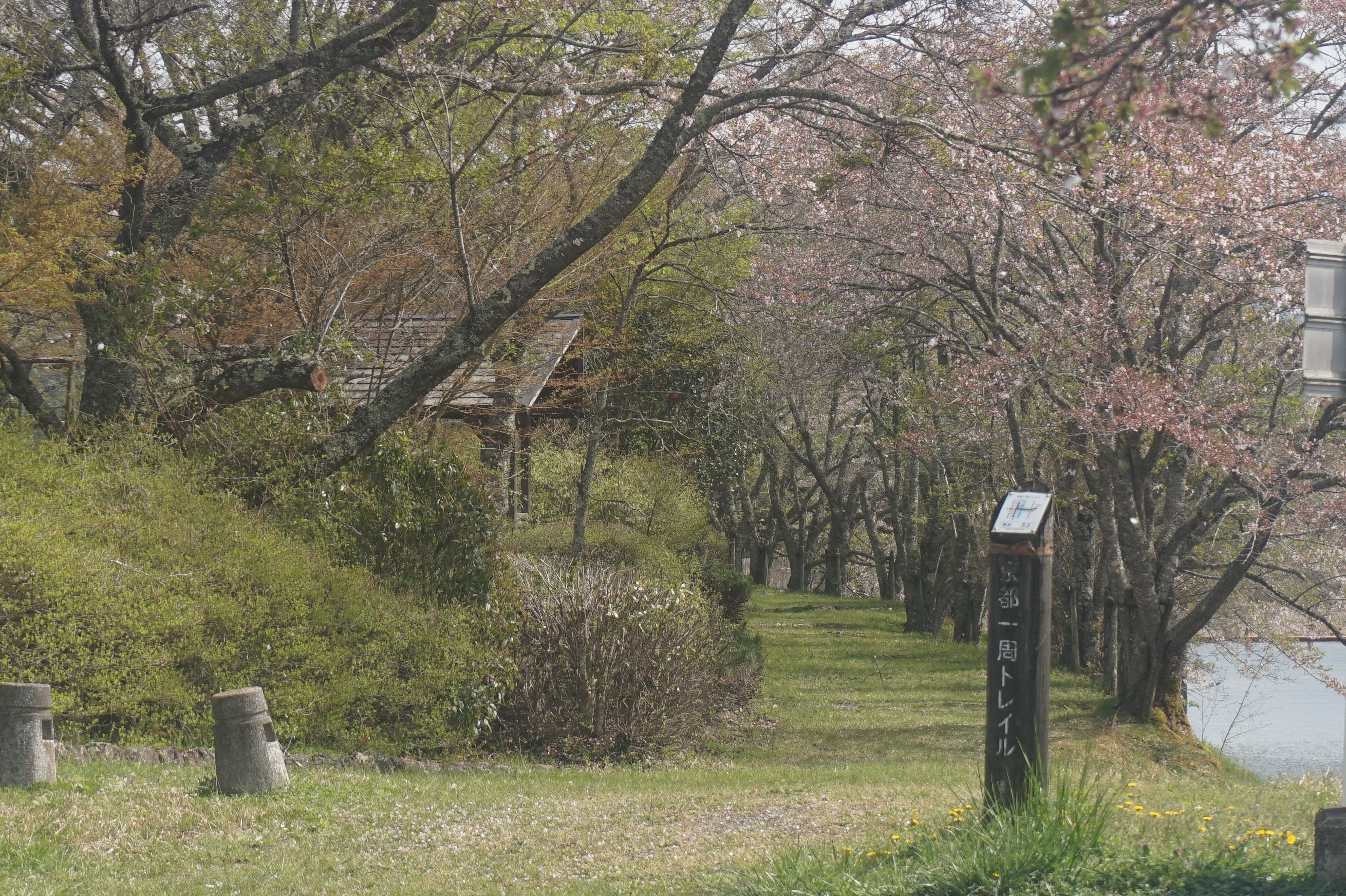 京都・町歩き 地元、再発見。町をぬけて峠をこえて、田舎道をひたすら歩いて
