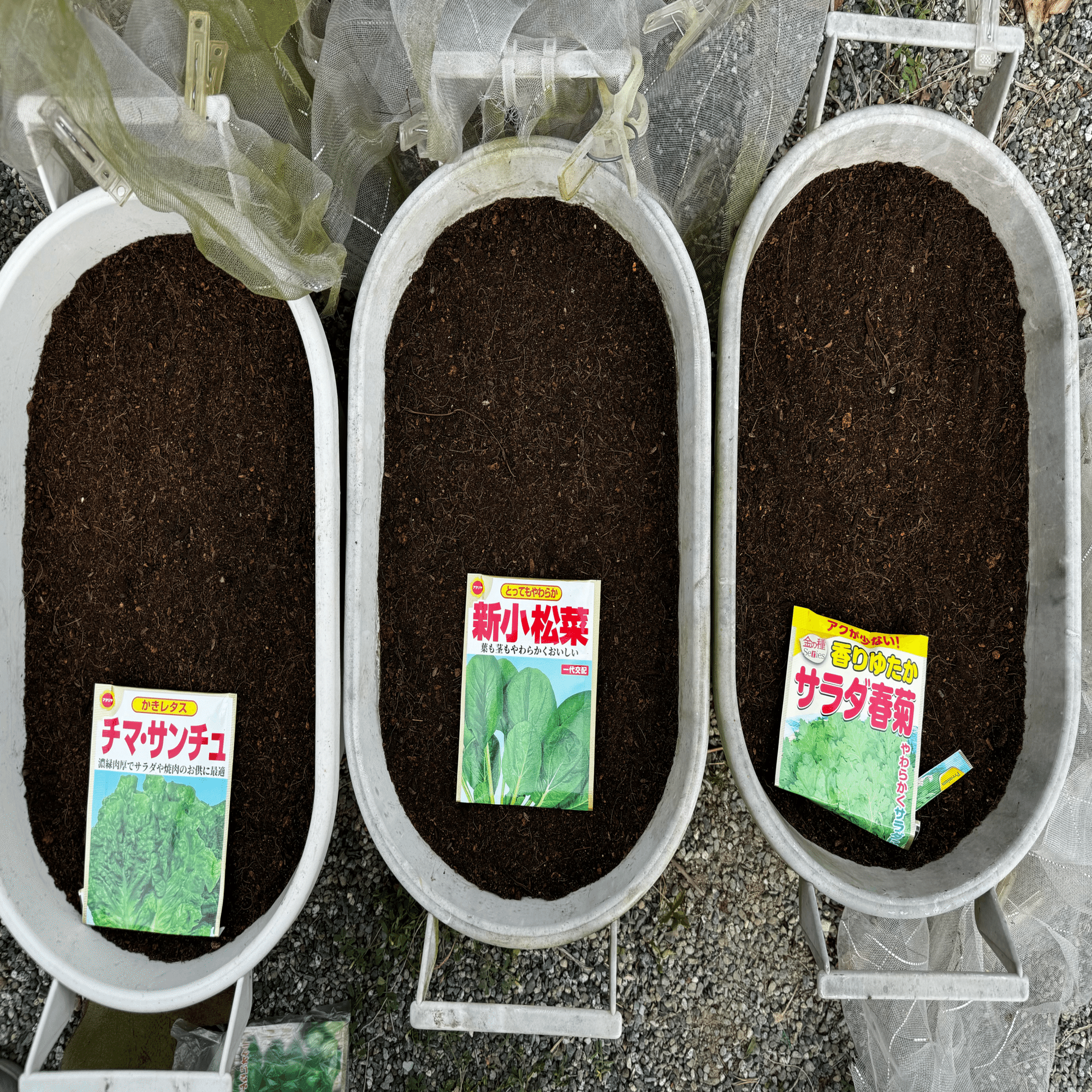 プランターで「ゆる家庭菜園」はじめました｜わぽ