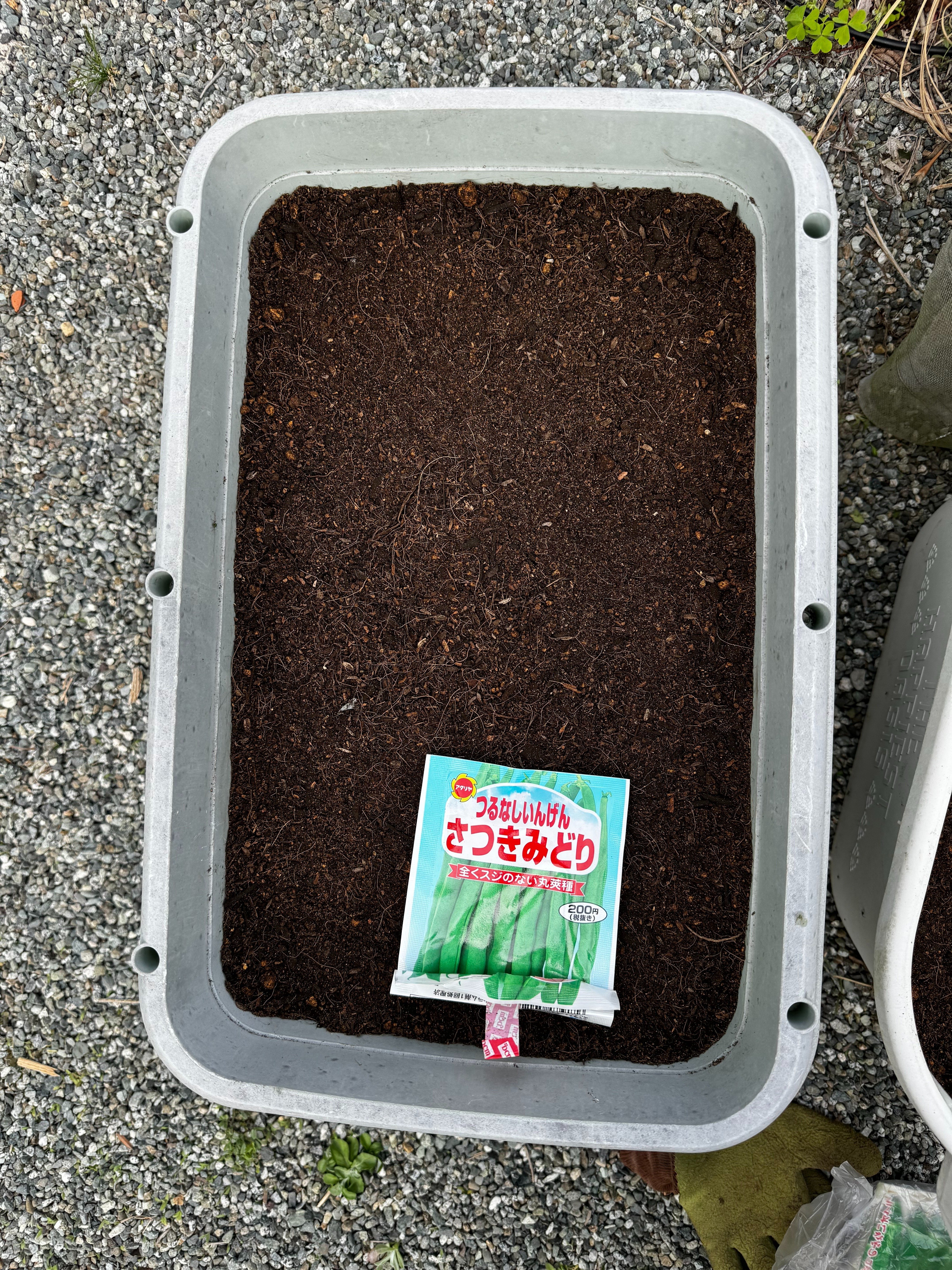 プランターで「ゆる家庭菜園」はじめました｜わぽ