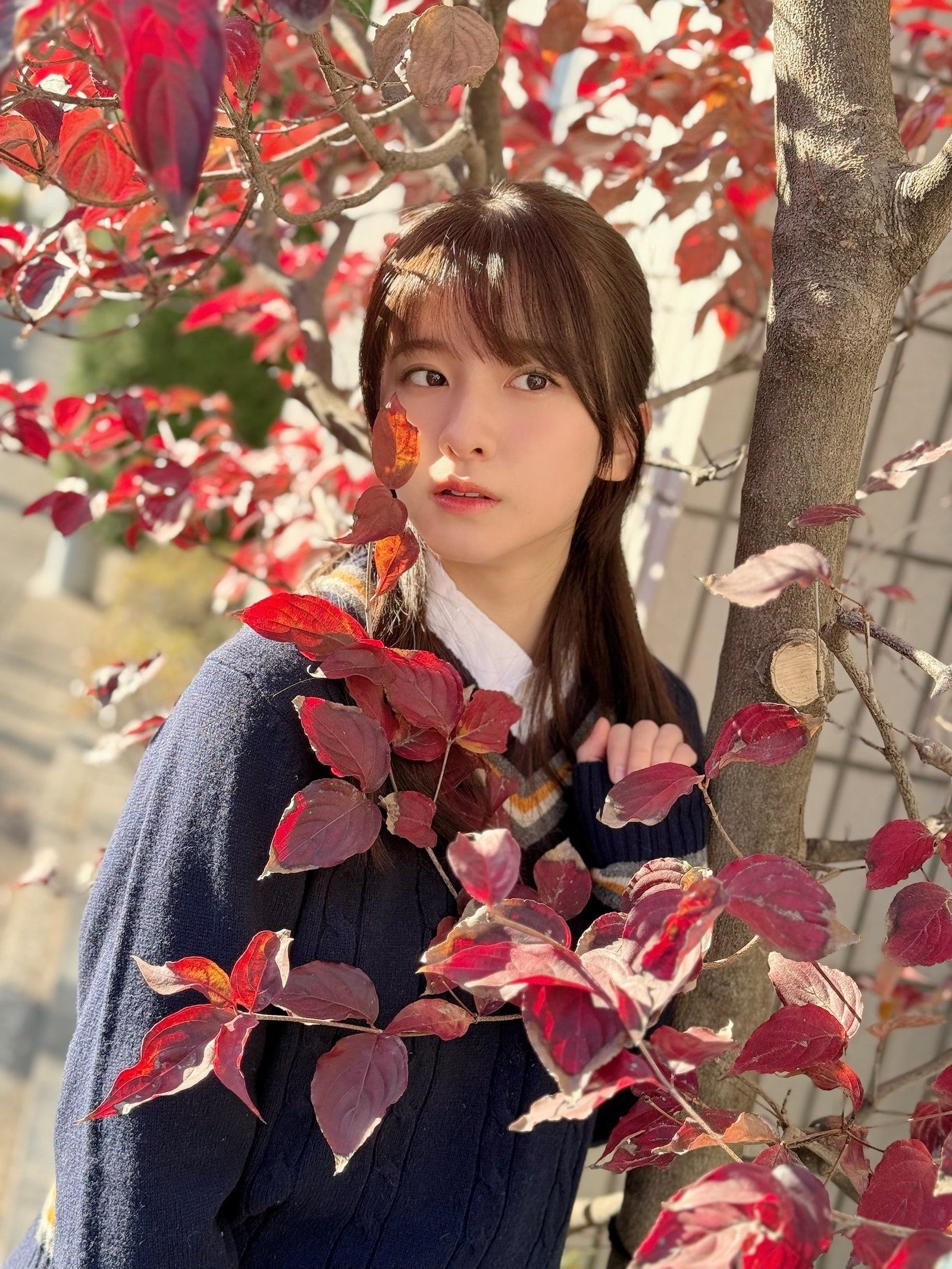 菅原咲月 サイン入り トートバッグ Yahoo!オークション - 菅原咲月 直筆サイン入り生写真