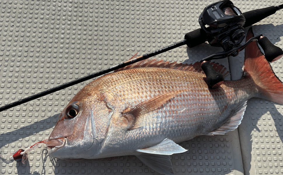 実釣インプレ】ダイワ 紅牙 MX AP 69MHB-Sはタイラバ界の最終兵器