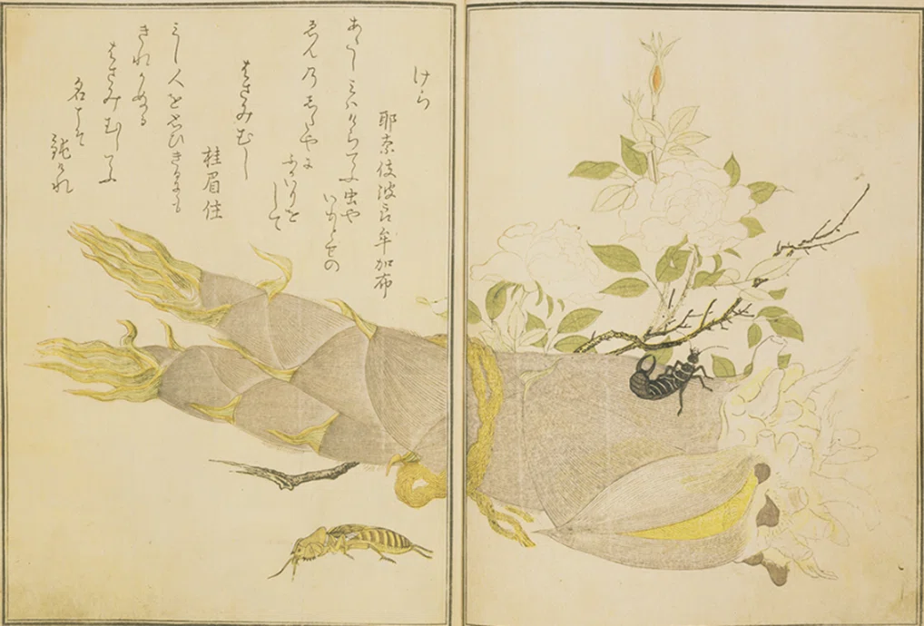特別展「蔦屋重三郎 コンテンツビジネスの風雲児」｜Art Meister