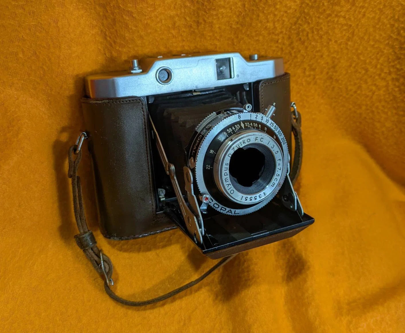 蛇腹のフィルムカメラは夢がある｜のりまゆげ沖漬け