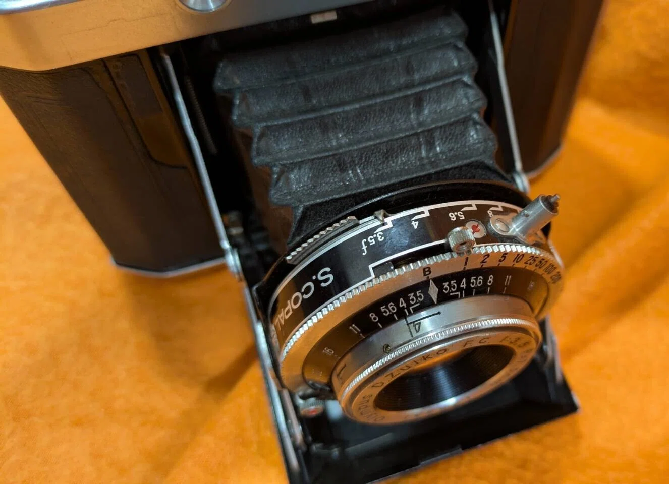 蛇腹のフィルムカメラは夢がある｜のりまゆげ沖漬け